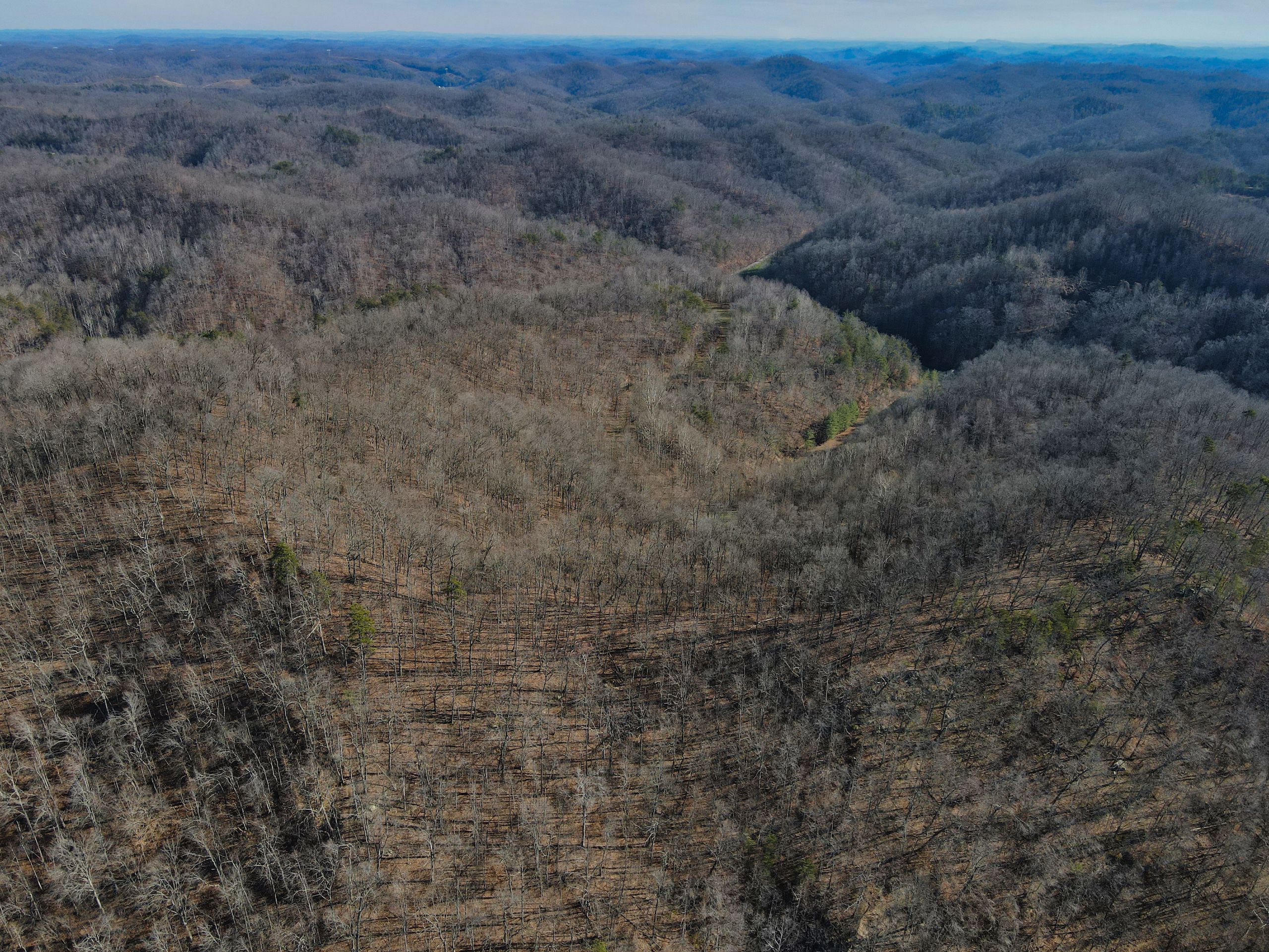 Puncheon Creek Lot wp005, FlatGap, KY 41219 Land and Farm