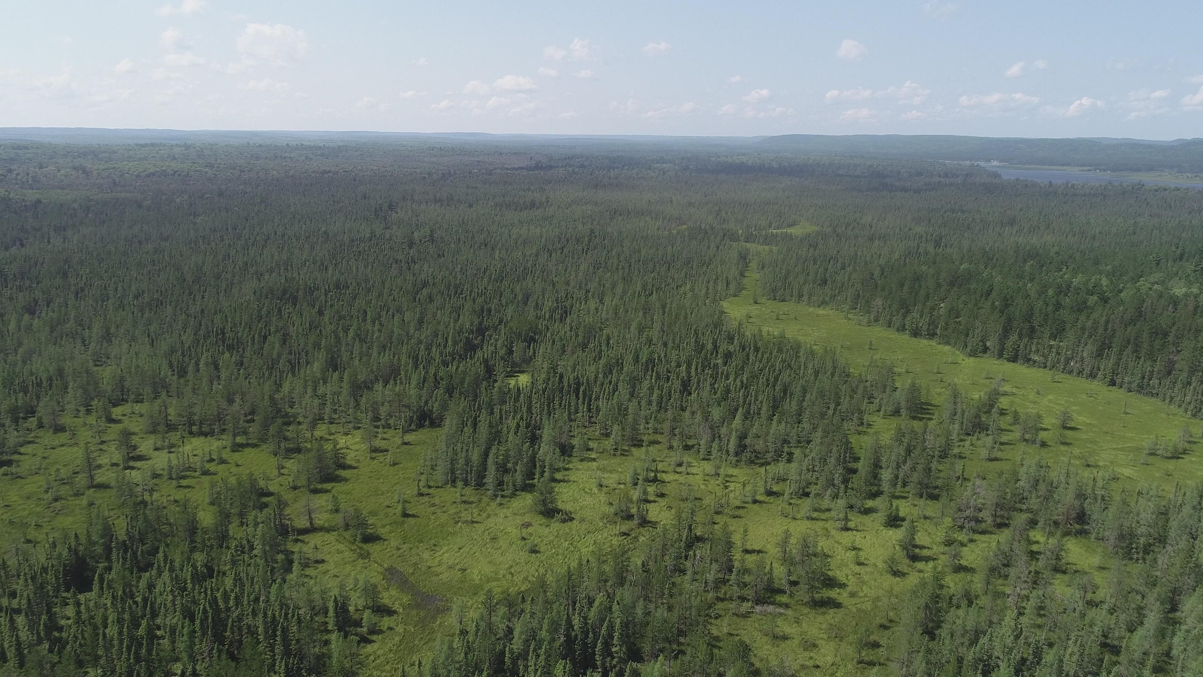 720 Acres North Camp Rd, Ishpeming, MI 49849 MLS 50117292 Land and