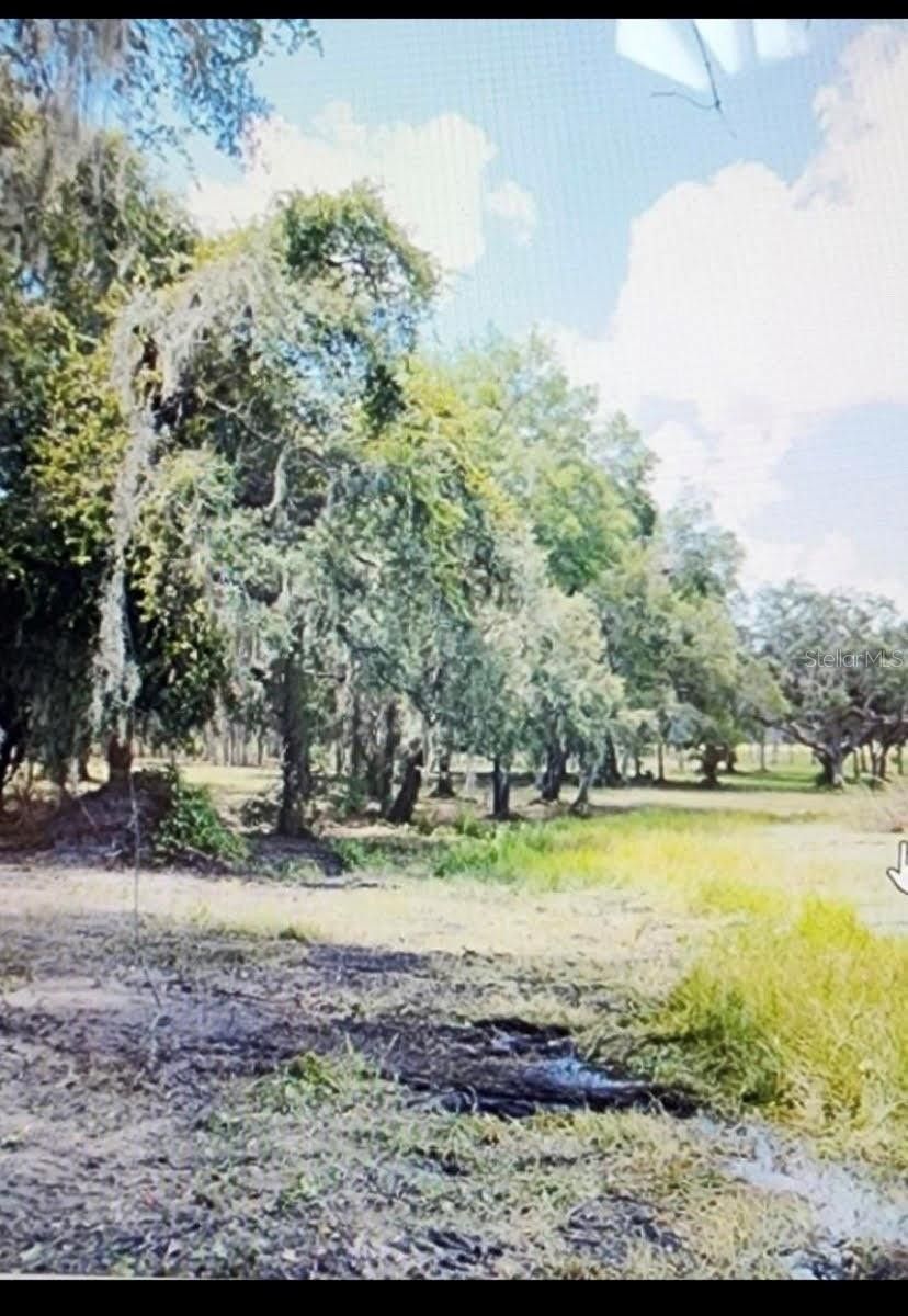 4.84 Acres, Tbd SE STATE ROAD, Weirsdale, FL 32195 Land and Farm