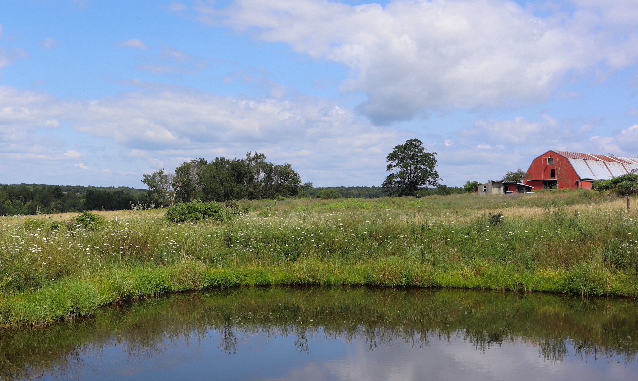 213 Sweet Road, Argyle, NY 12809 MLS 11216153 Land and Farm