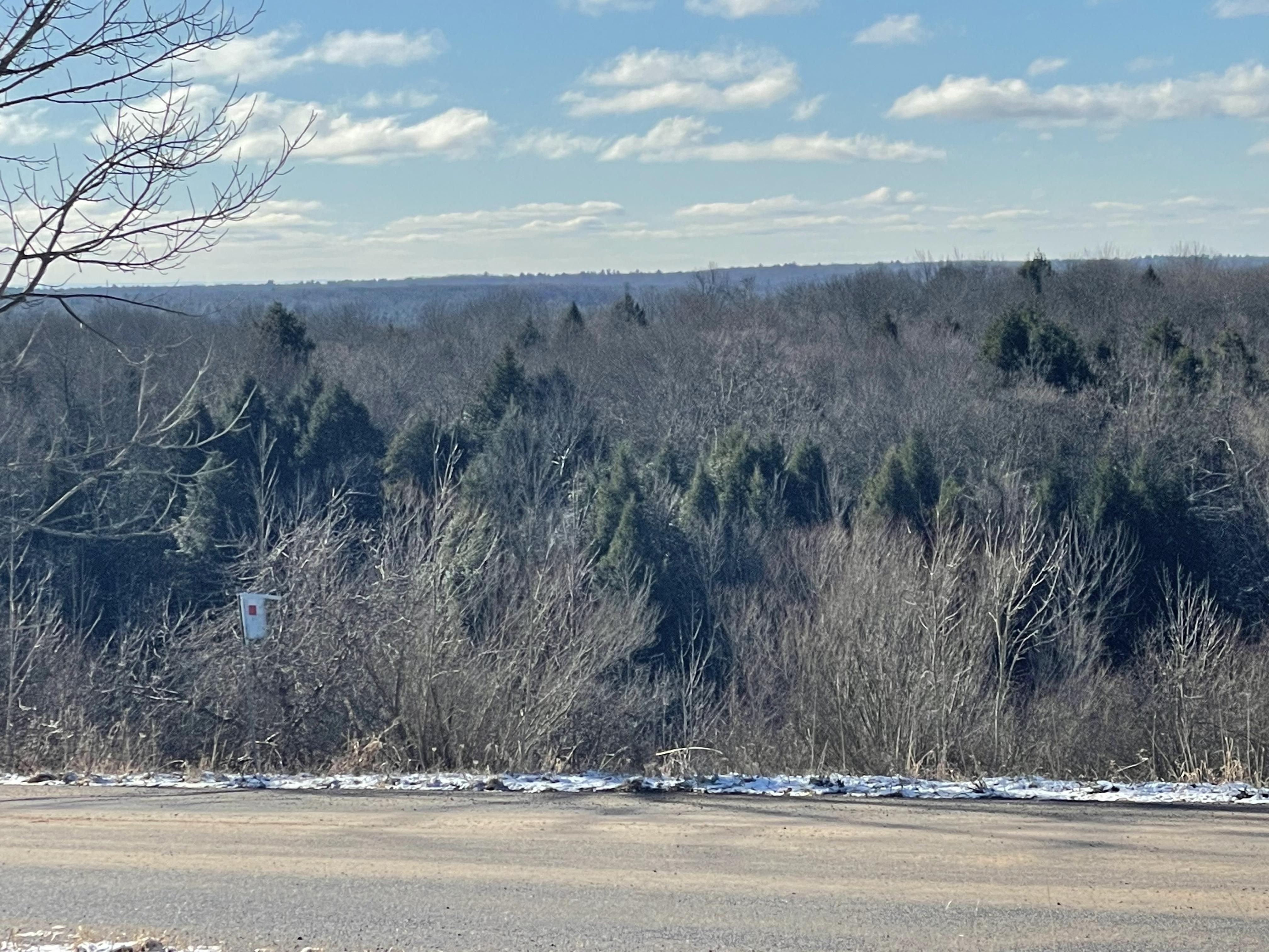 10.05 Acres, 1.14 Van Buren Road, Camden, NY 13316 Land and Farm