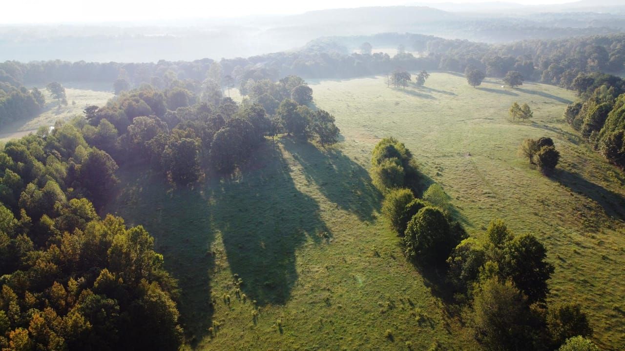 39.5 Acres, 3380 Cook Creek Rd, Russellville, AL 35654 Land and Farm