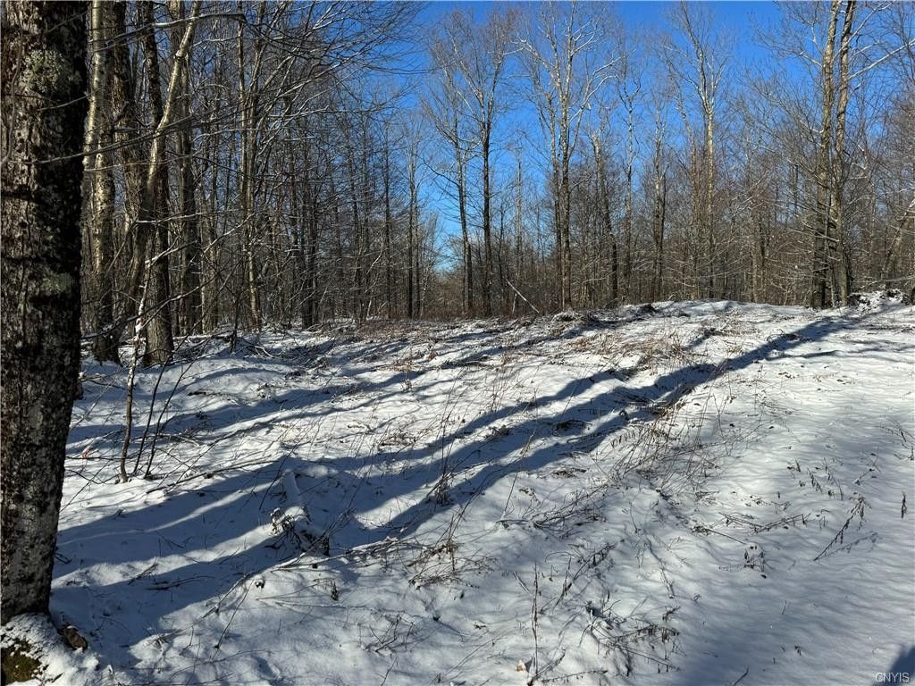 17.6 Acres, 00 Goodhines Road, Lewis, NY 12950 Land and Farm