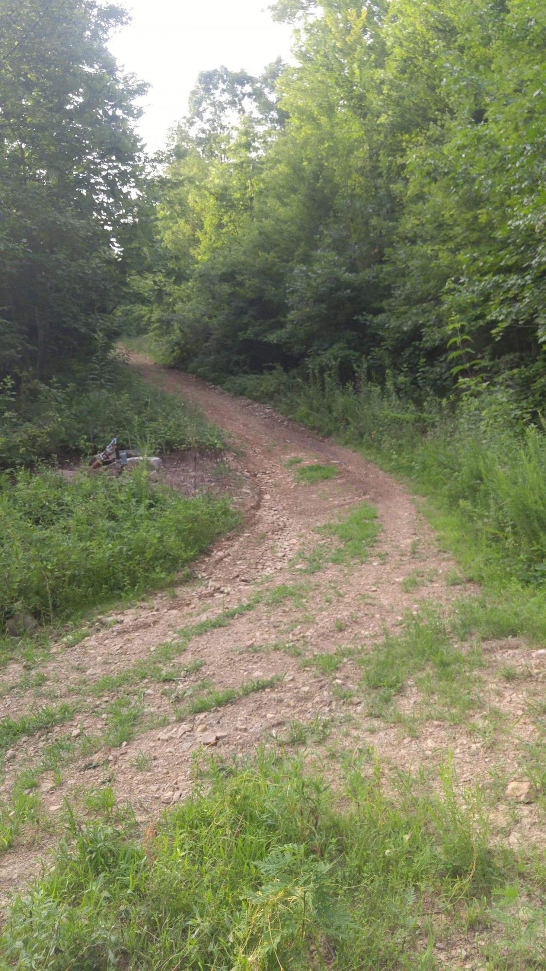 125 Acres, 2530 Mills Creek Road, Flat Lick, KY 40935 Land and Farm