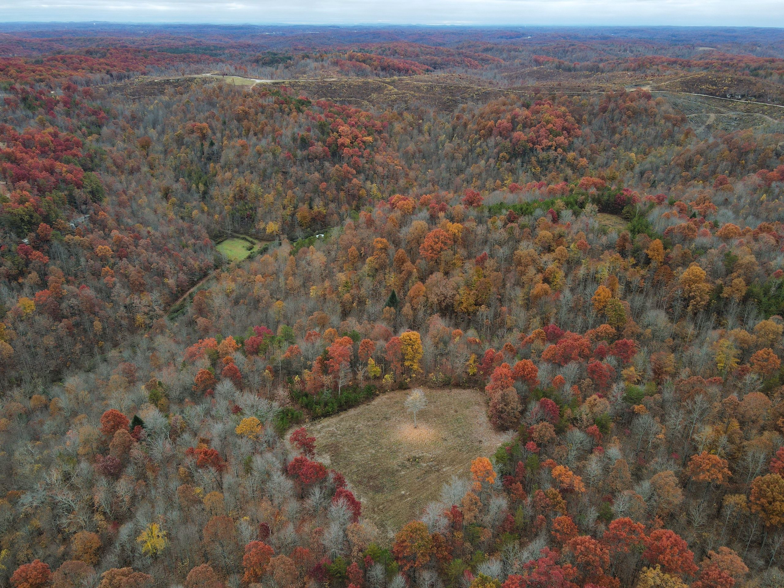 Ohler Branch Rd Lot wp001, East Bernstadt, KY 40729 Land and Farm