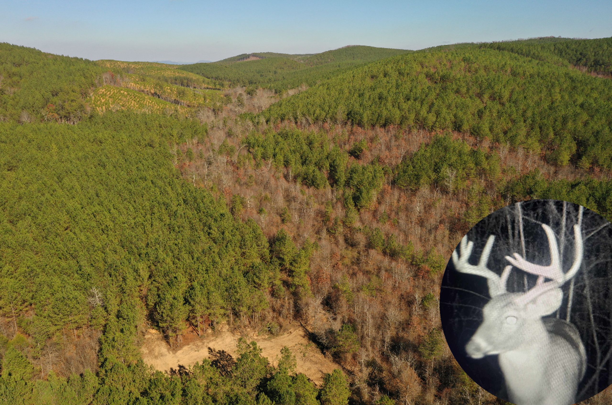 LotWP001, Piedmont, AL 36272 Land and Farm