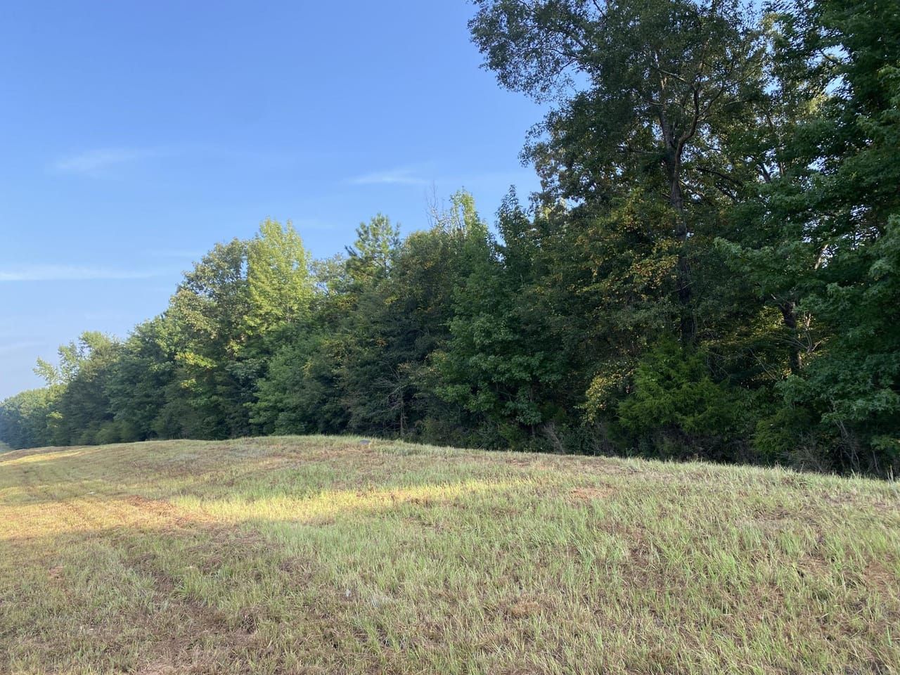 HWY 82 W, COKER, AL, 35452, Coker, AL 35452 Land and Farm