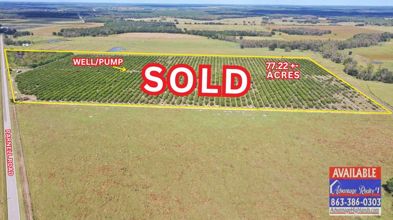 77.22 Acres, 3023 Parnell Road, Zolfo Springs, FL 33890 Land and Farm