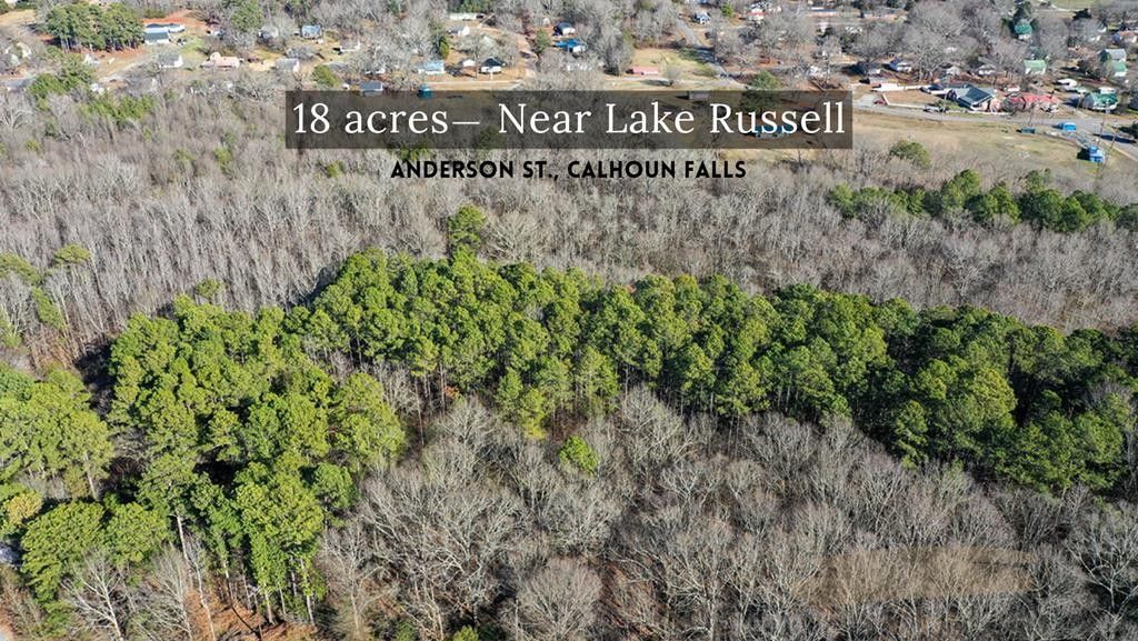 18 acres Anderson St, Calhoun Falls, SC 29628 MLS 130051 Land and Farm