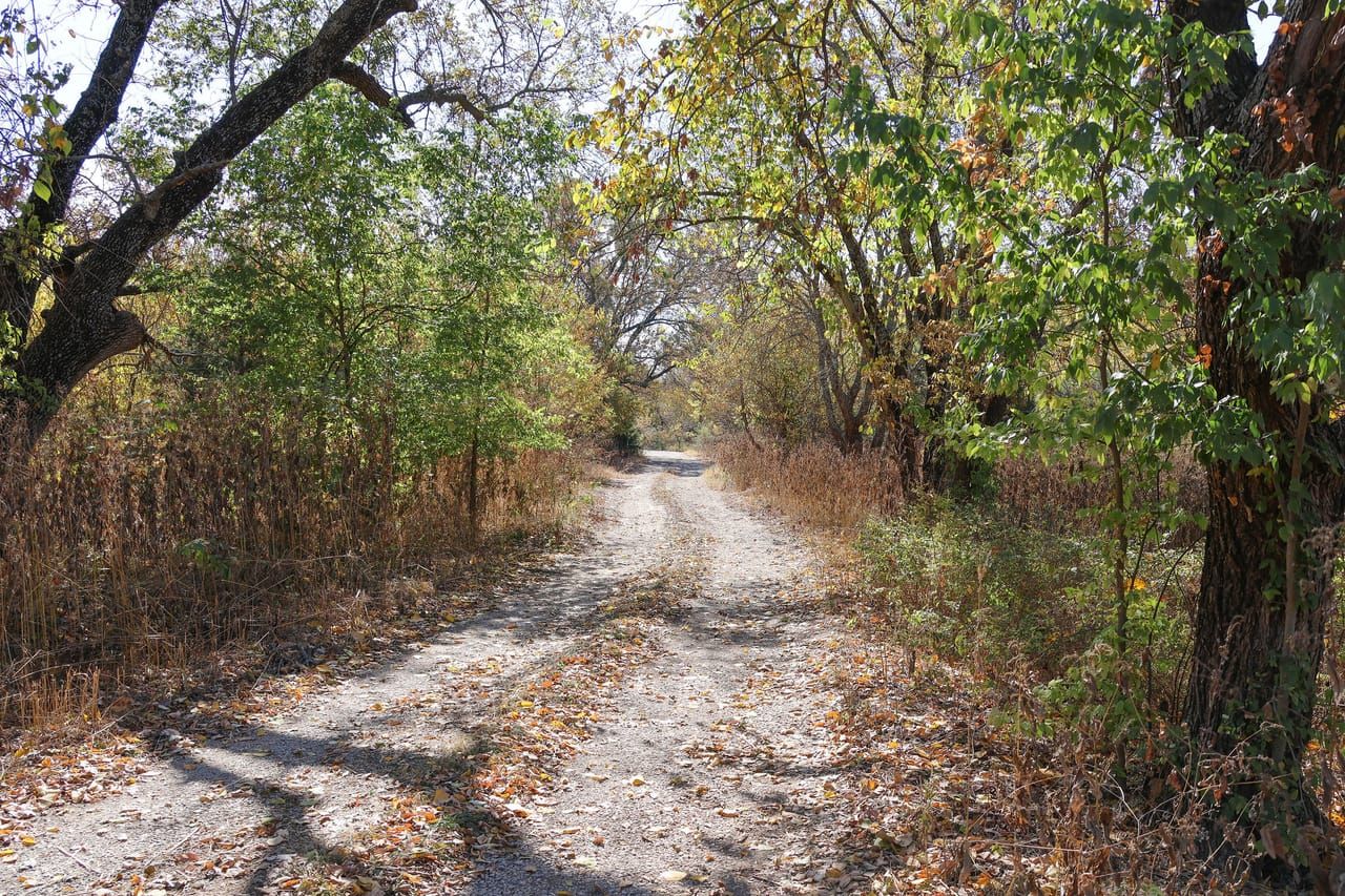 358 15000 Rd, Mound Valley, KS 67354 Land and Farm