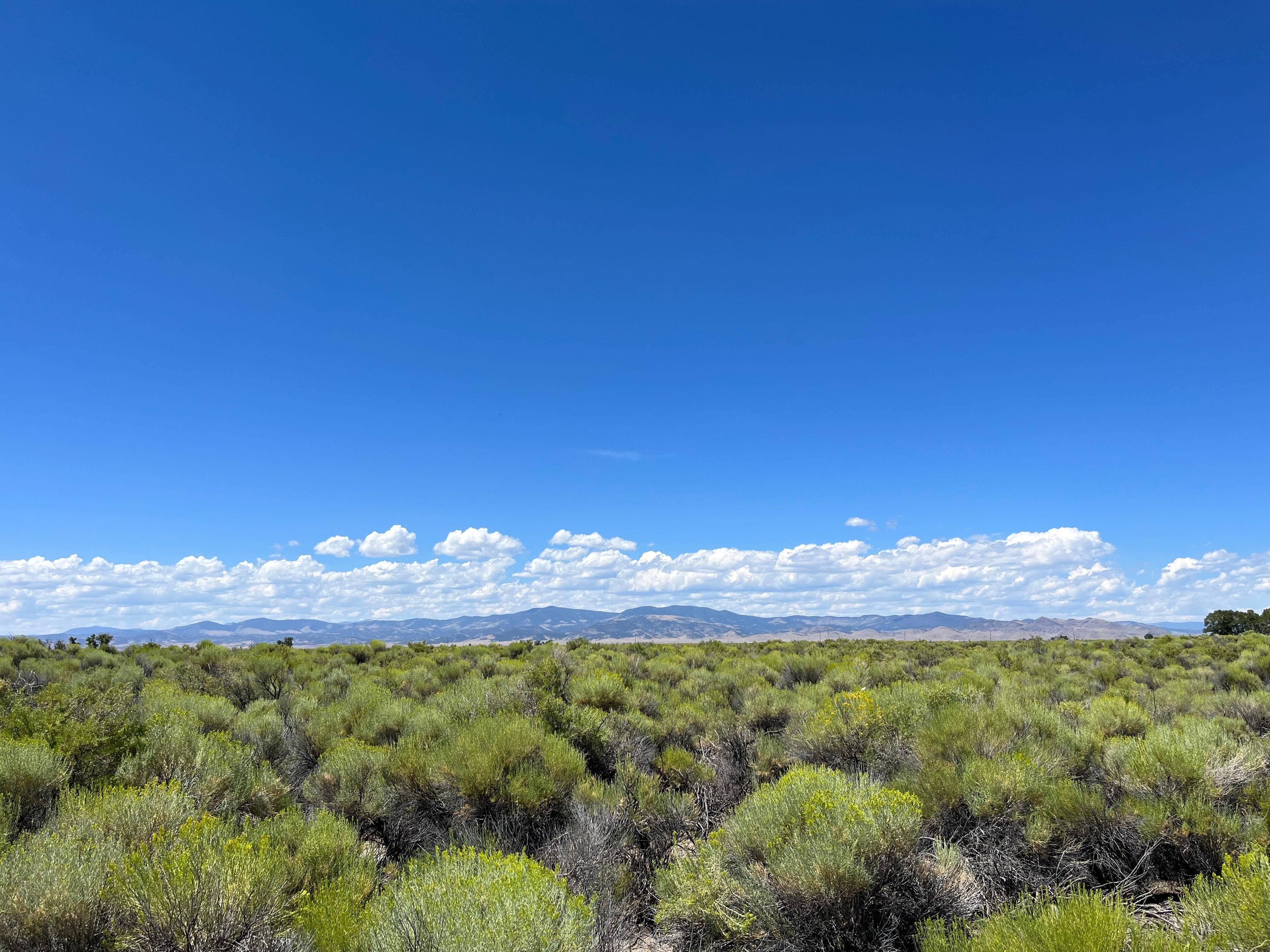 40 Acres, 16126 Hawk Ave, Saguache, CO 81149 Land and Farm