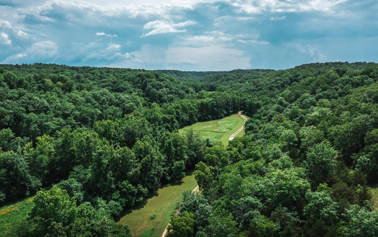 321 Horse Creek Ranch, Macks Creek, MO 65786 Land and Farm