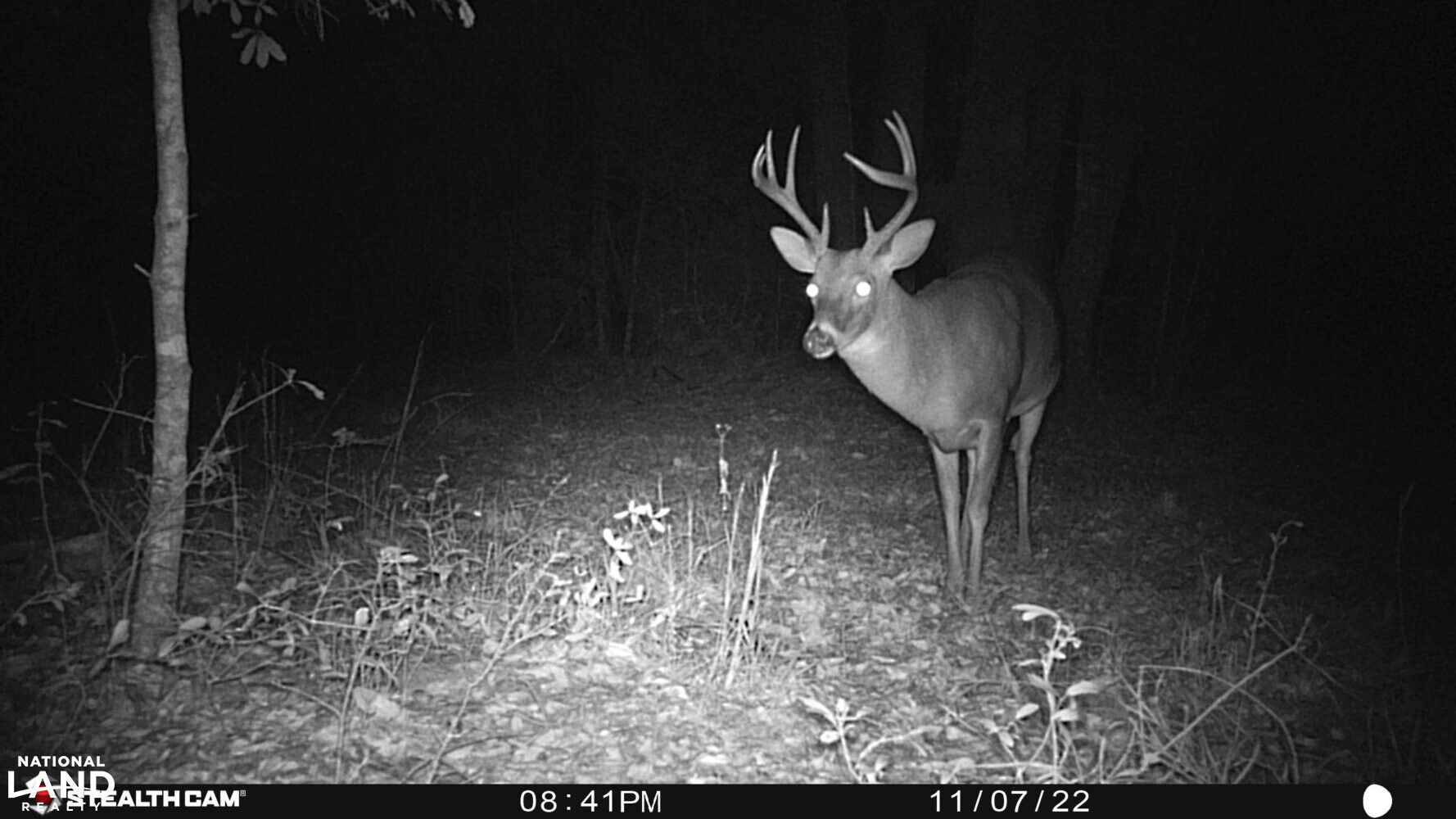 0 South Springhill Road, Dothan, AL 36305 Land and Farm