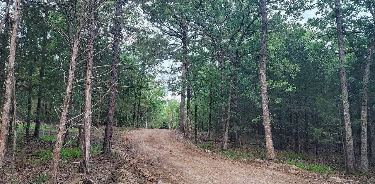 TBD Wolf Mountain Road, Yanush, OK 74574 MLS 11182225 Land and Farm