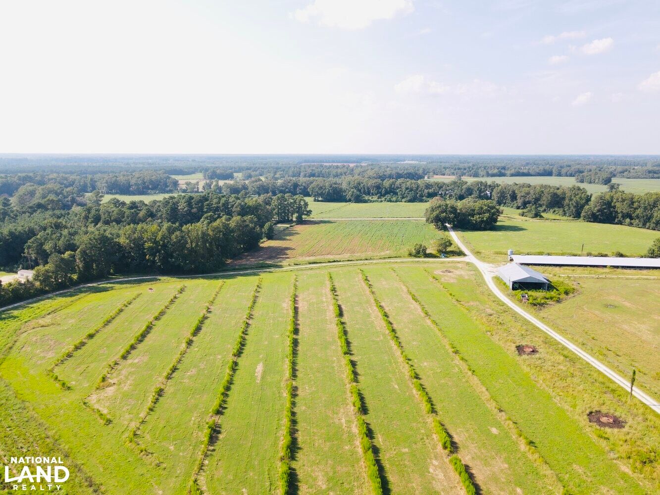 46 Acres, 8097 Wallace Highway, Wallace, NC 28466 Land and Farm