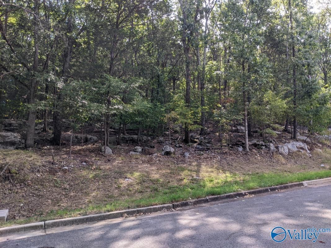 8.5 Acres, 8031 Tea Garden Road, Huntsville, AL 35802 Land and Farm