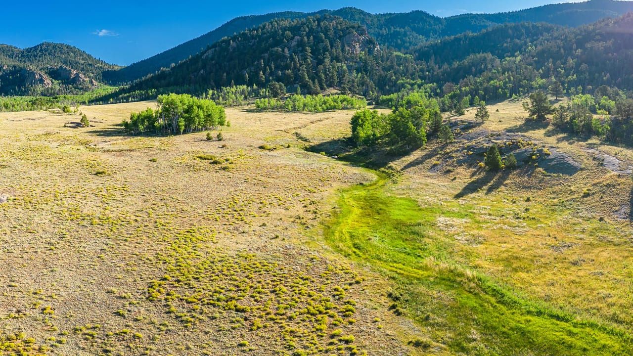 40 Acres, 2339 COUNTY ROAD 92, Lake CO 80827 Land and Farm