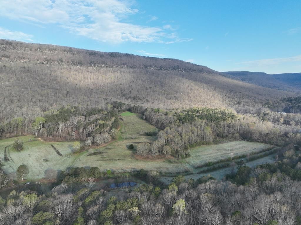 144 Acres, Shinbone Valley Road, Lafayette, GA 30728 Land and Farm