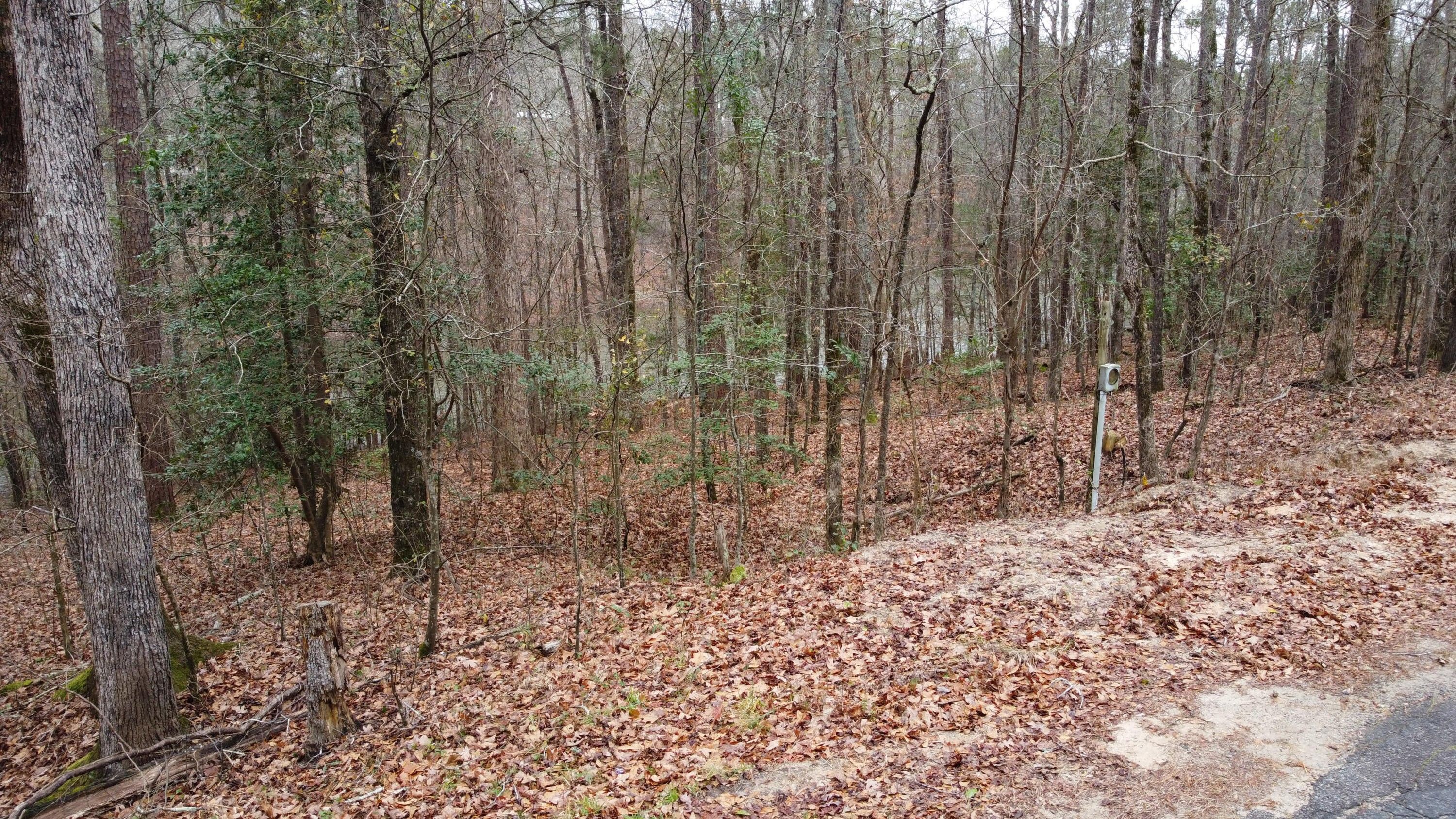 0.24 Acres, 0 LandOLakes02d, Trenton, SC 29847 Land and Farm