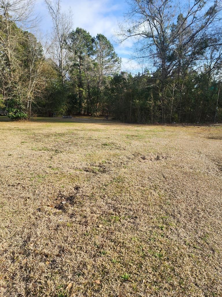 0.49 Acres, 412 E Red Bay Rd, Sumter, SC 29153 Land and Farm