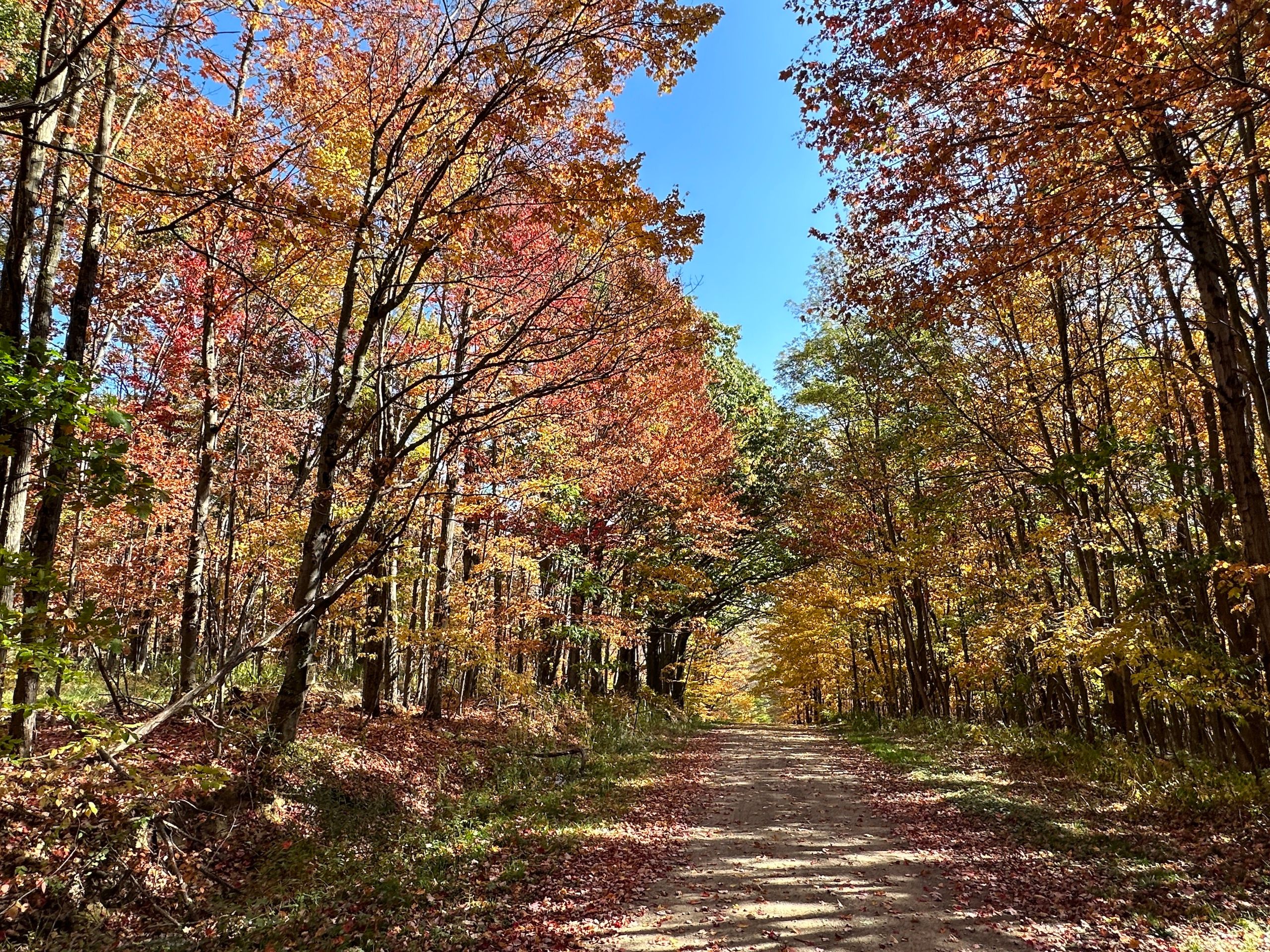 VL Lot V (5) Johnson Hill Rd, Swain, NY 14884 MLS 11237624 Land