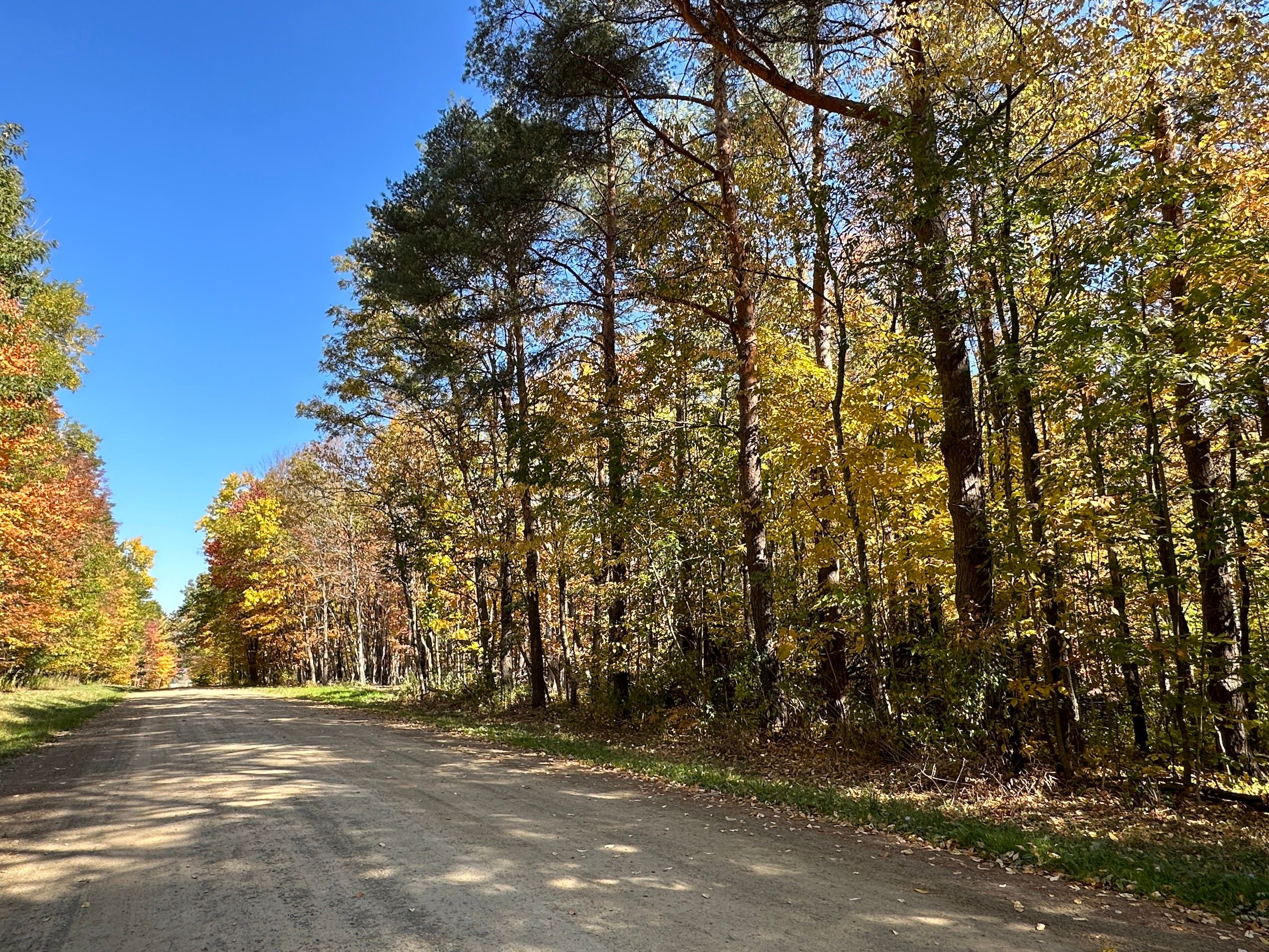 VL Lot VI (6) Ridge Road, Swain, NY 14884 MLS 11237626 Land and Farm