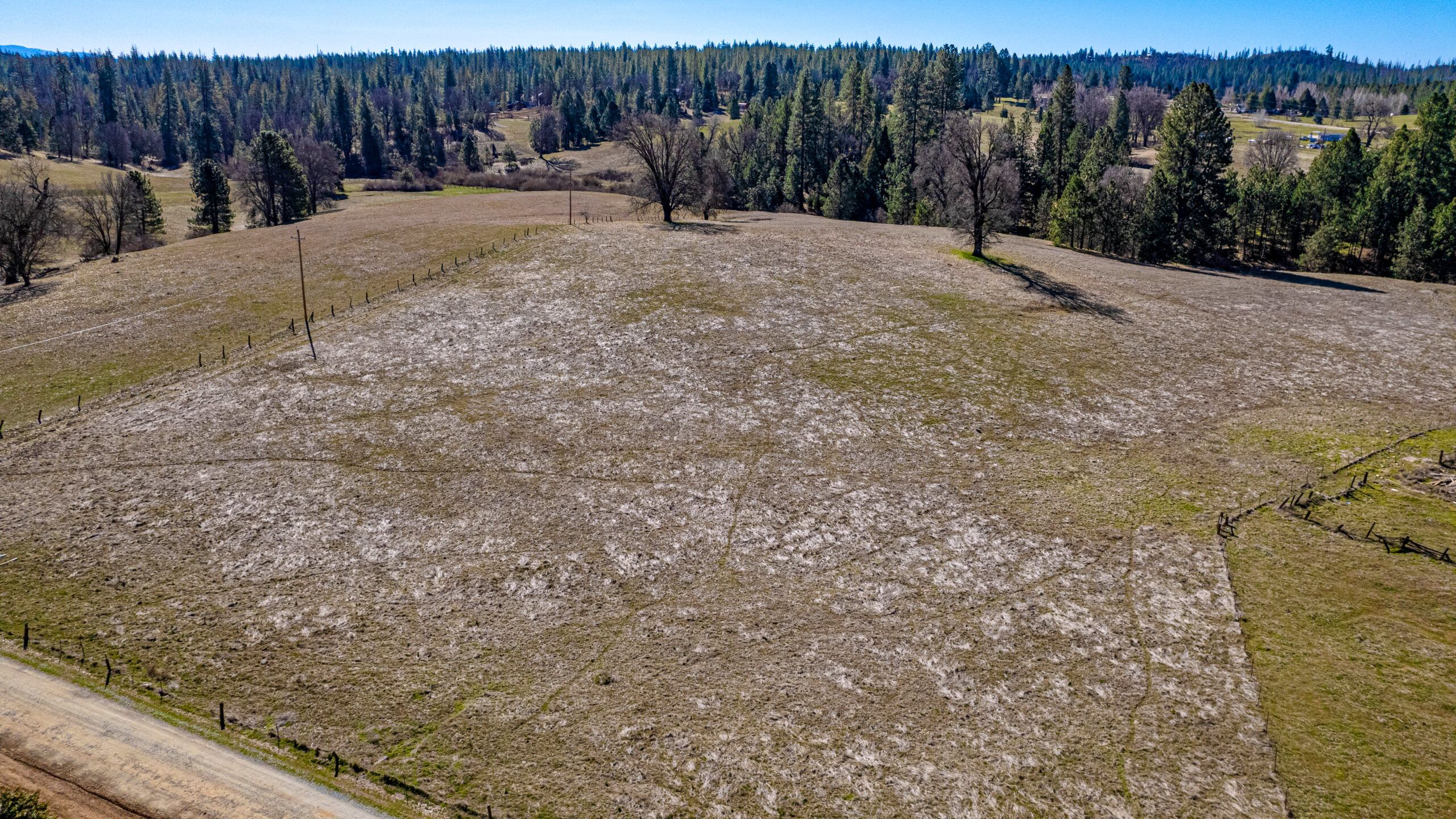 10279 Greeley Lane, Greeley Hill, CA 95311 Land and Farm