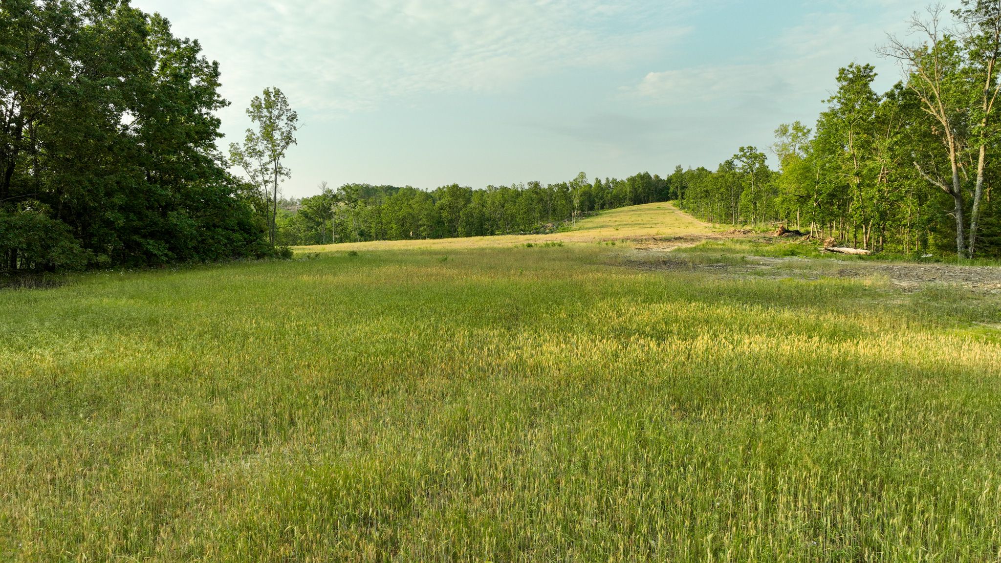 TBD Berry Road, Cabool, MO 65689 Land and Farm