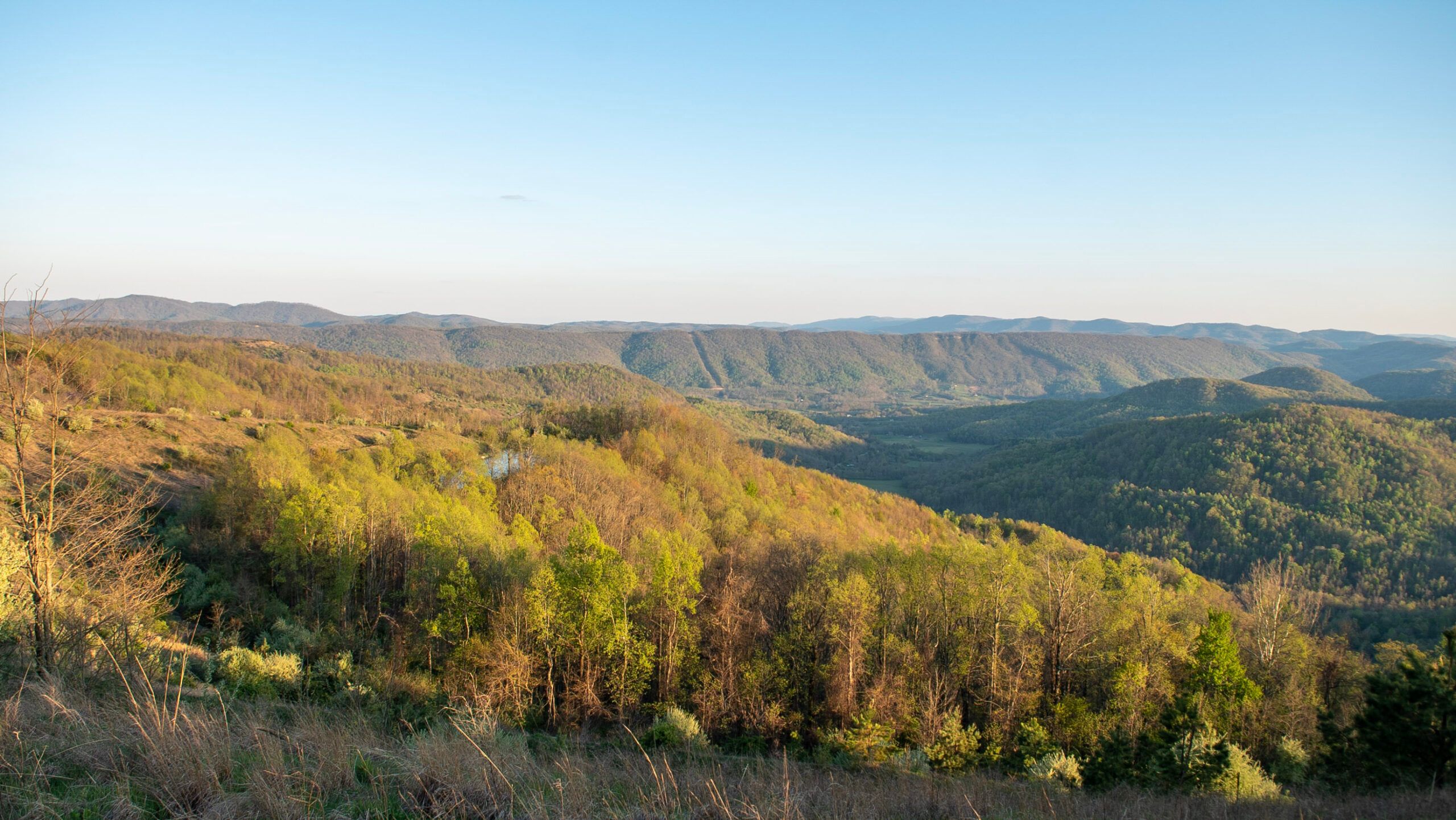 1,976 Acres, 0 Stinking Creek Rd, La Follette, TN 37766 Land and Farm