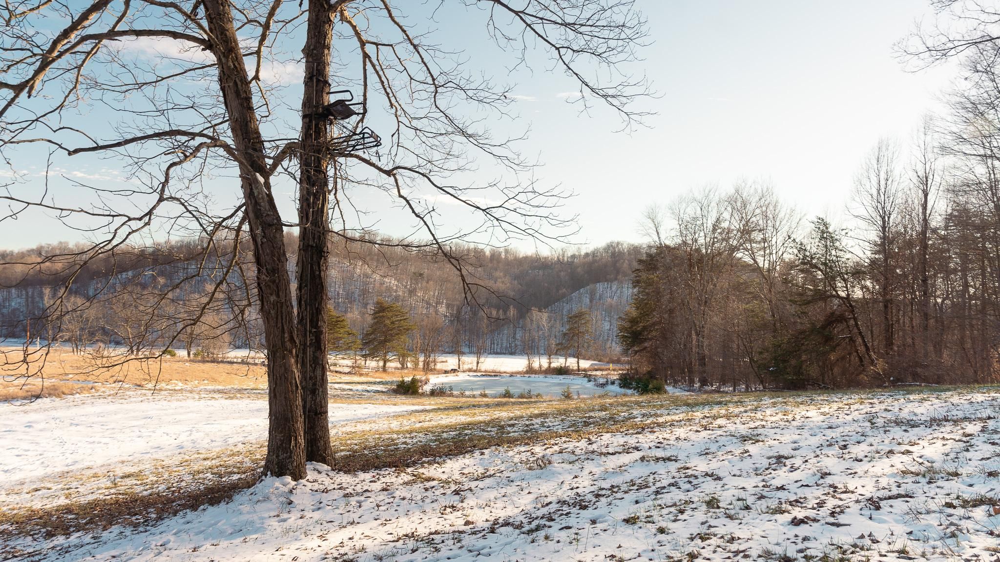 Blue Run Road, Lucasville, OH 45648 MLS Scioto County Ohio Land for