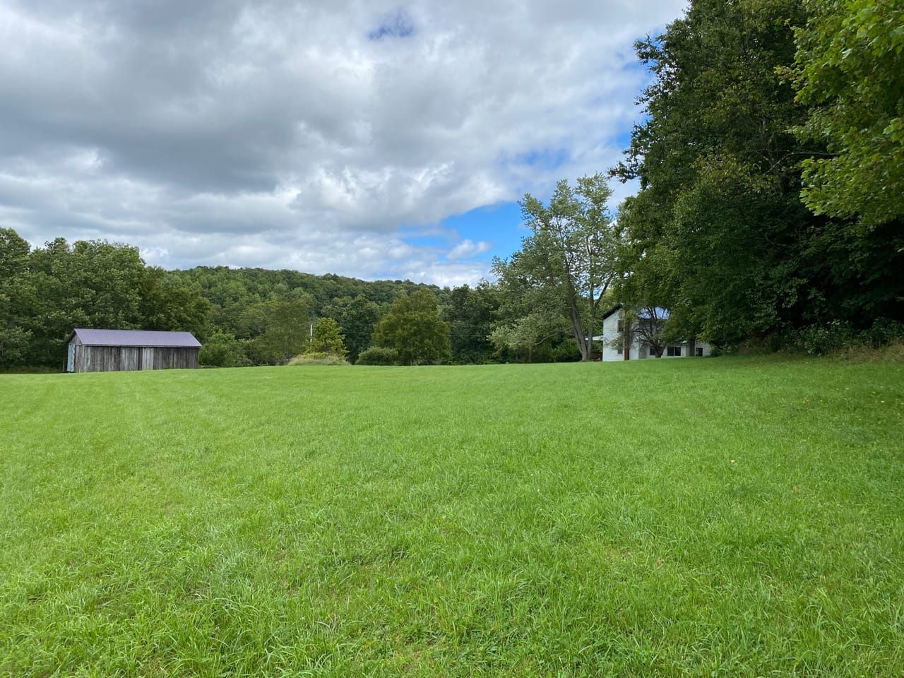Fire Tower Road, Glen Campbell, PA 15742 Land and Farm