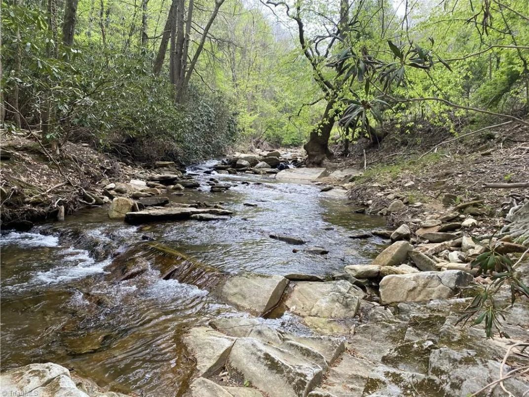 93.2 Acres, Dixie Rock Road, Moravian Falls, NC 28654 Land and Farm