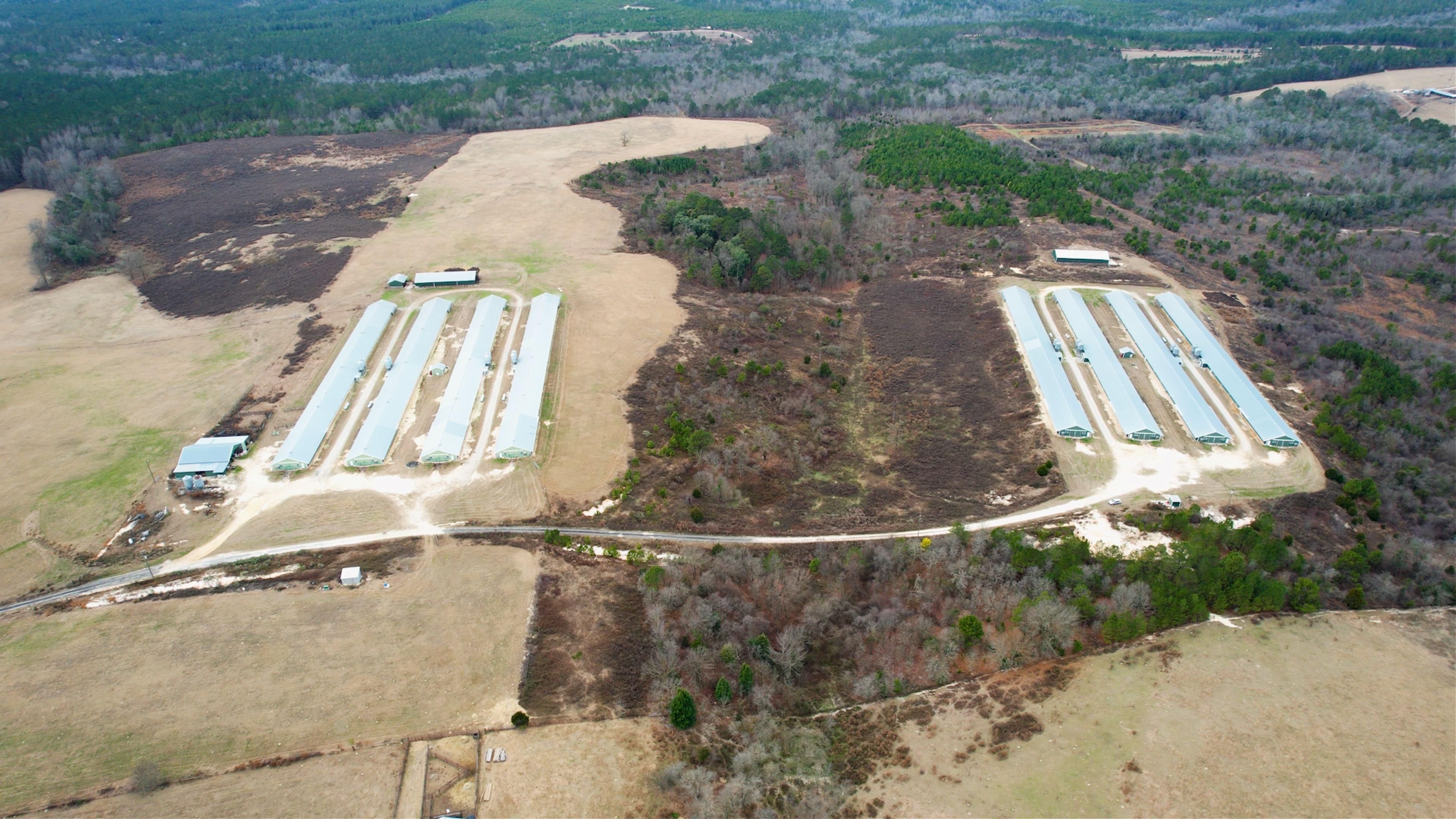 170 acres in Roberta, GA, 31078 Land and Farm