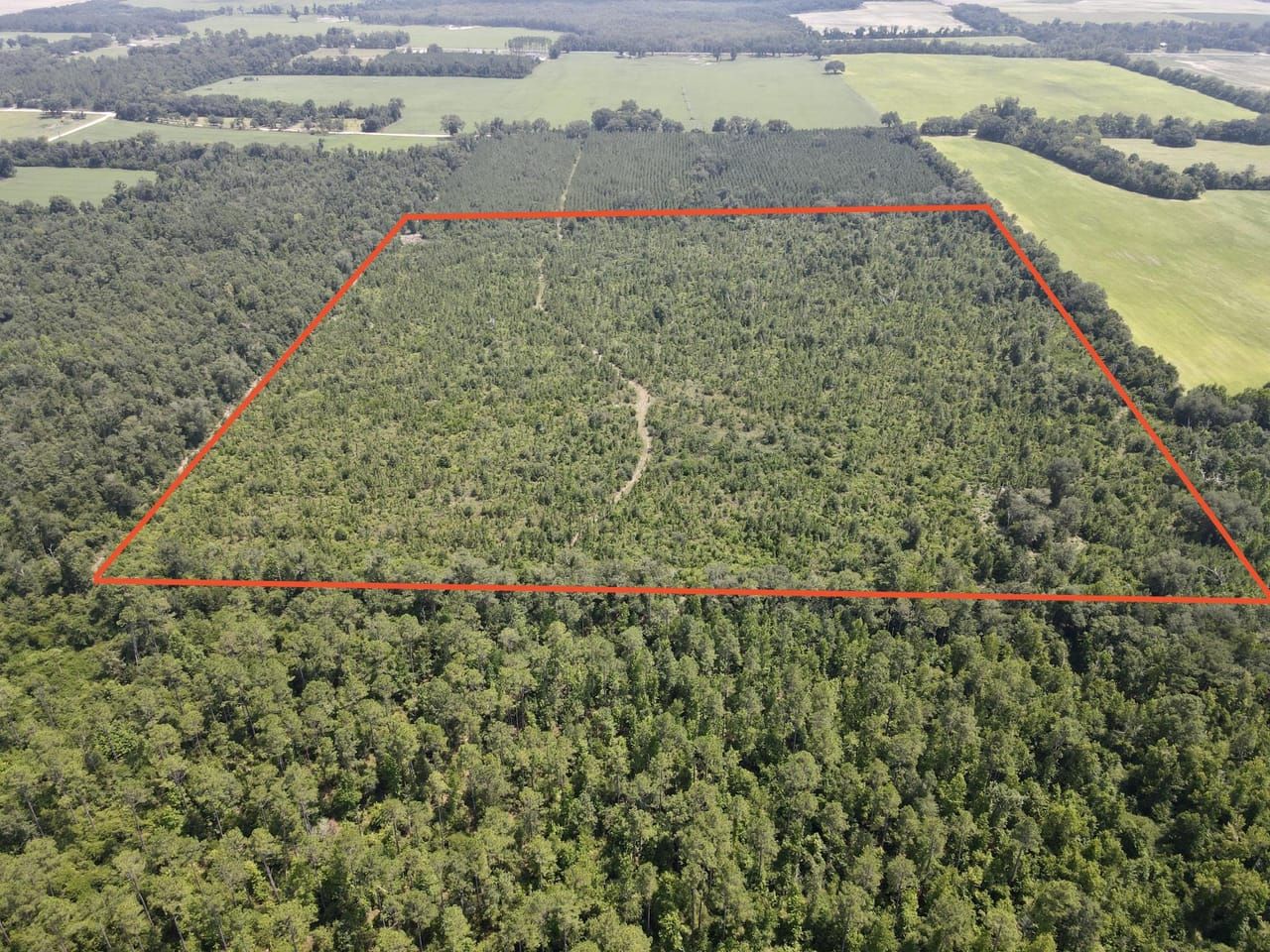 40 Acres, Malone, FL 32445 Land and Farm