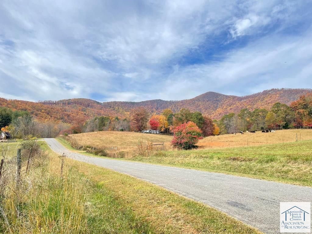 671 Ramey Orchard Road, Lowgap, NC 27024 MLS 141097 Land and Farm