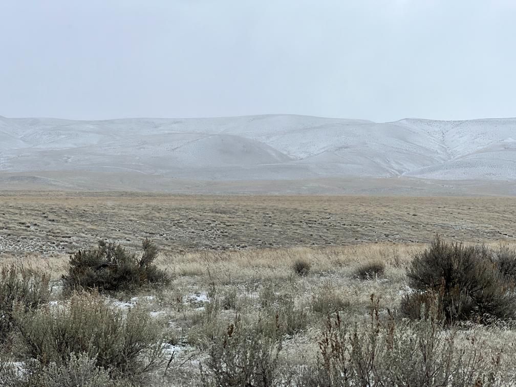 38 acres in Mabton, WA, 98935 Land and Farm