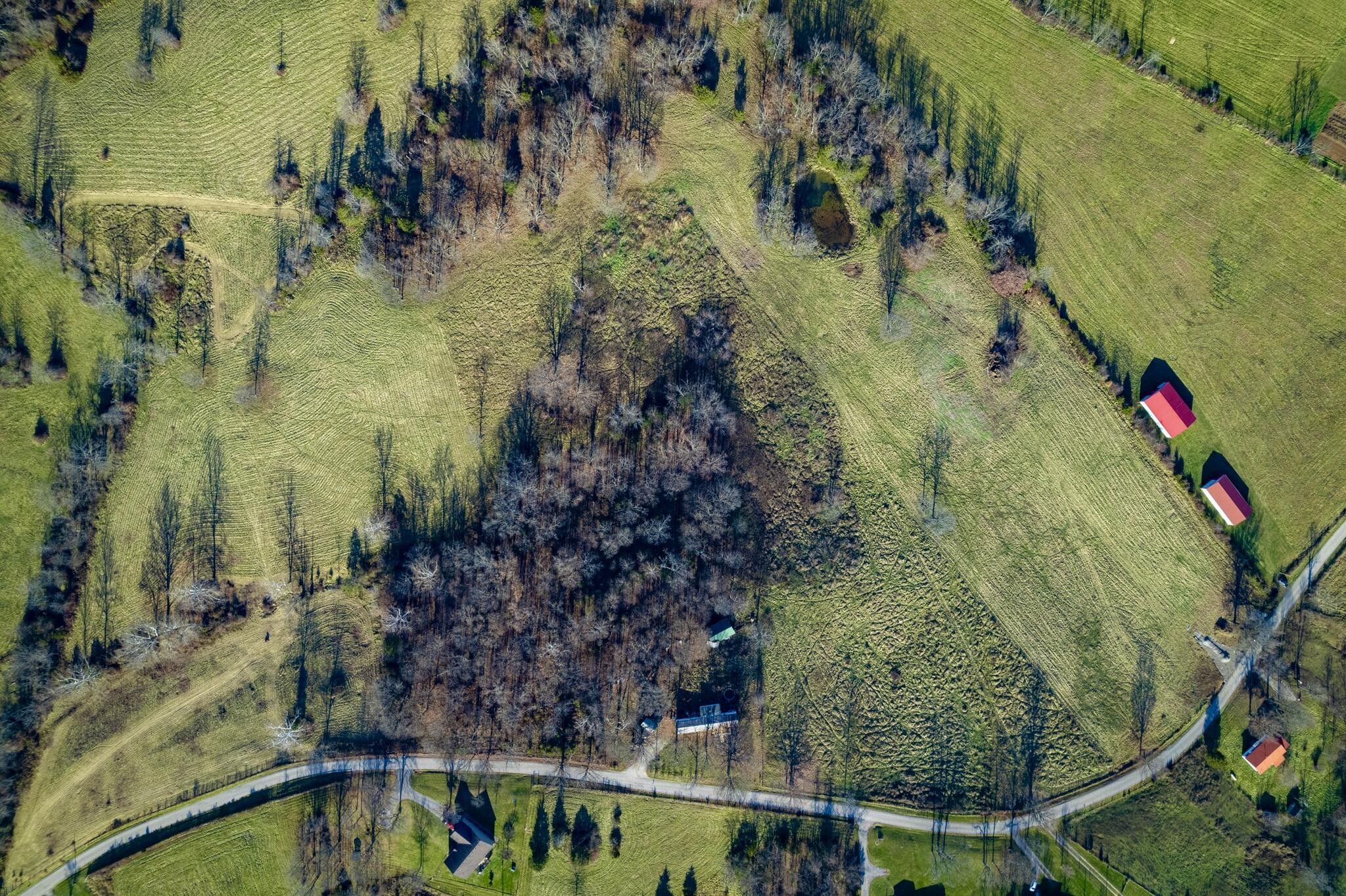 10 Acres, Lot2 West Honaker Road, Stamping Ground, KY 40379 Land and Farm