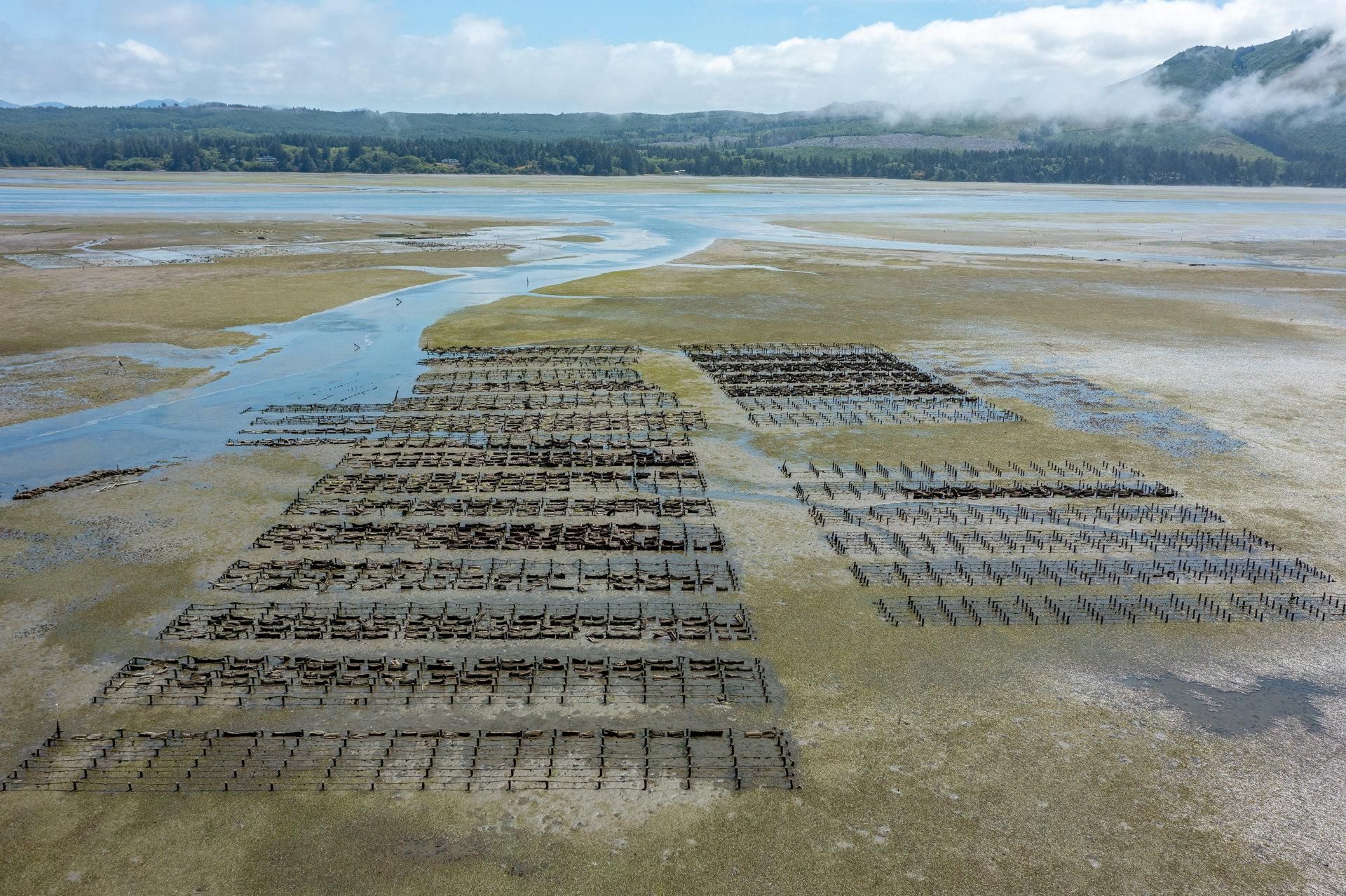 7.78 acres in Netarts, OR, 97141 MLS 24174183 Land and Farm