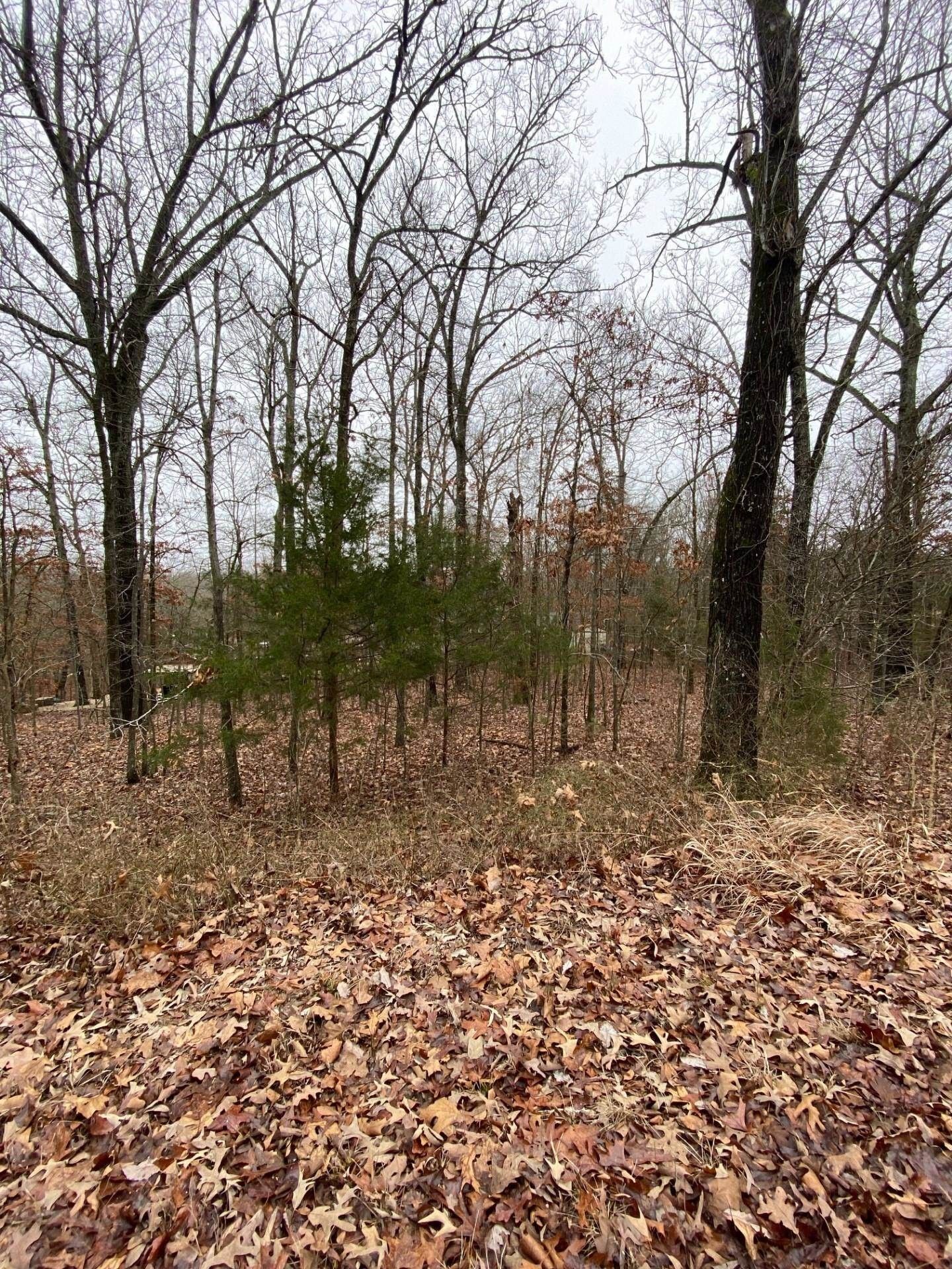 0.29 Acres, TBD Mineola Drive, Cherokee Village, AR 72529 Land and Farm