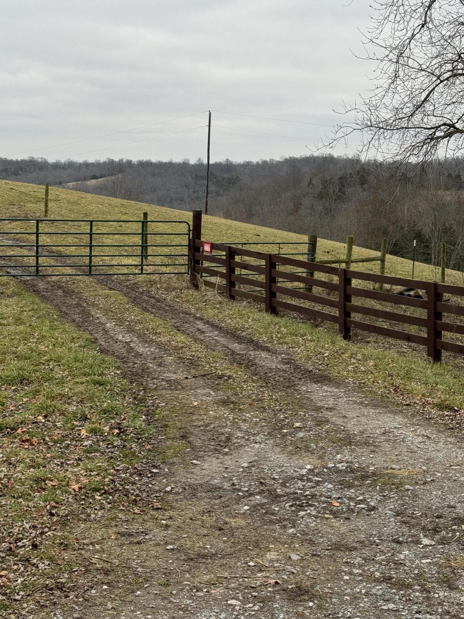 127.18 Acres, 3394 Stoney Creek Road, Carlisle, KY 40311 Land and Farm