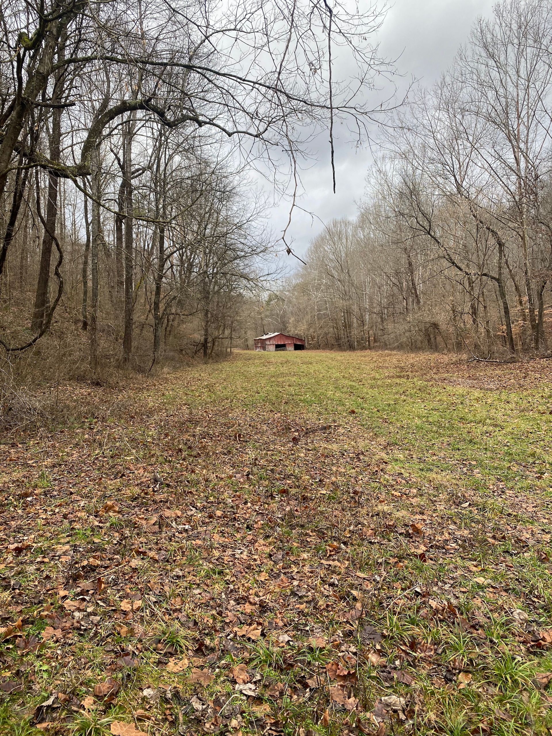 0 East Tygart Creek Road, LotWP001, Greenup, KY 41144 MLS 2431