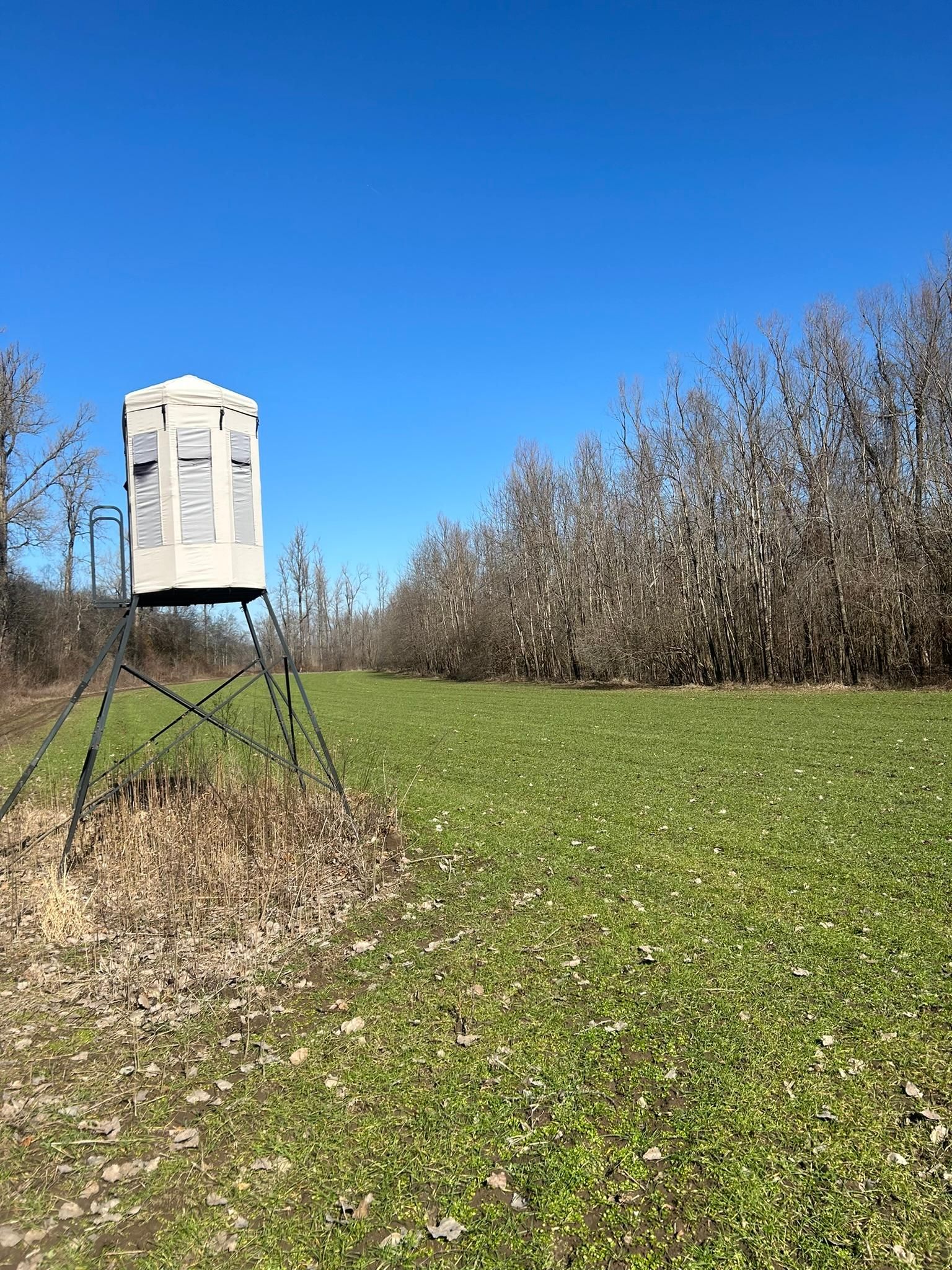 7,000 acres in Clarksdale, MS, 38614 Land and Farm