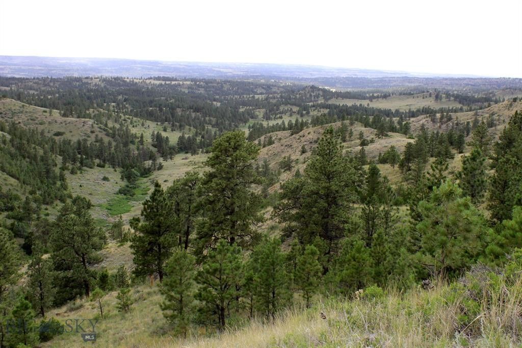 Nhn Bear Creek, Hysham, MT 59038 MLS 389232 Land and Farm