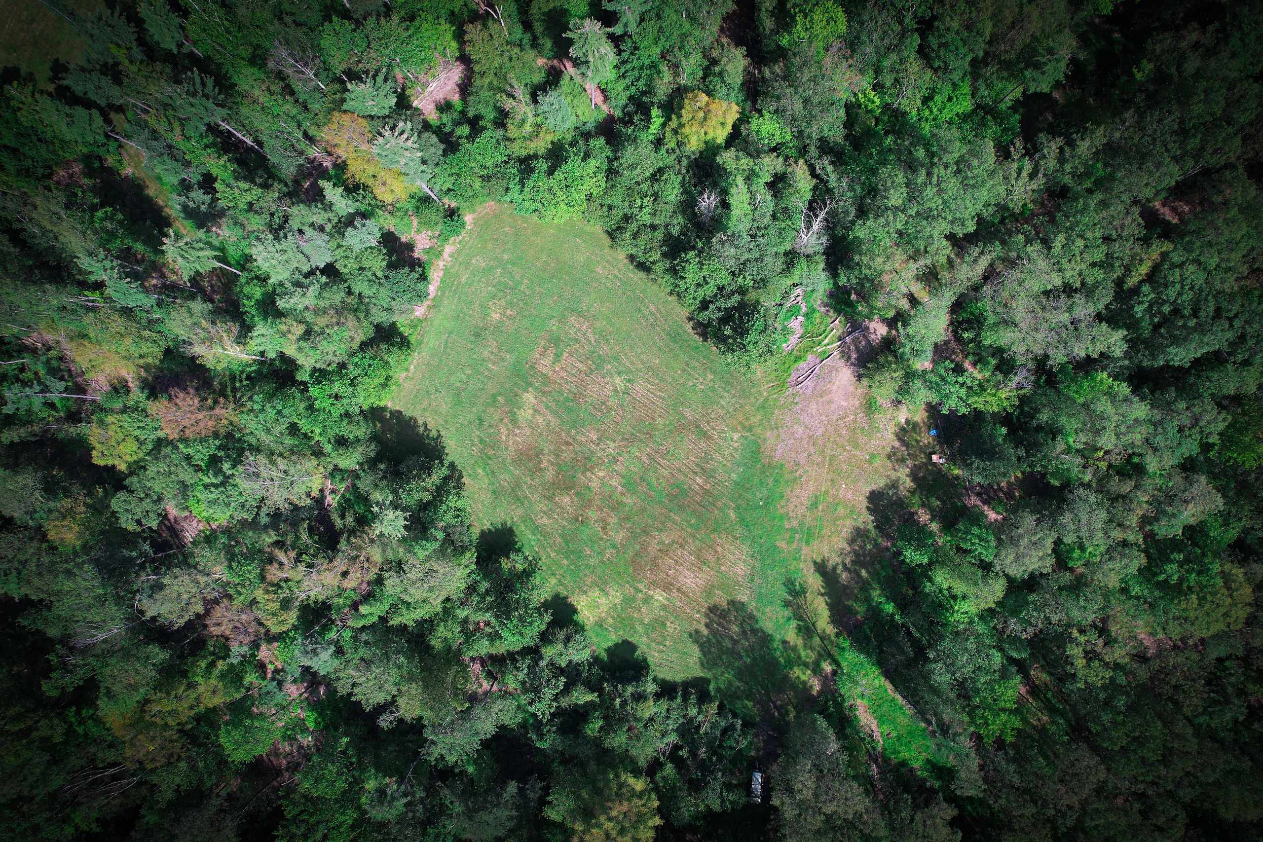 139.82 Acres, State Route 235, LotWP001, Millmont, PA 17845 Land and