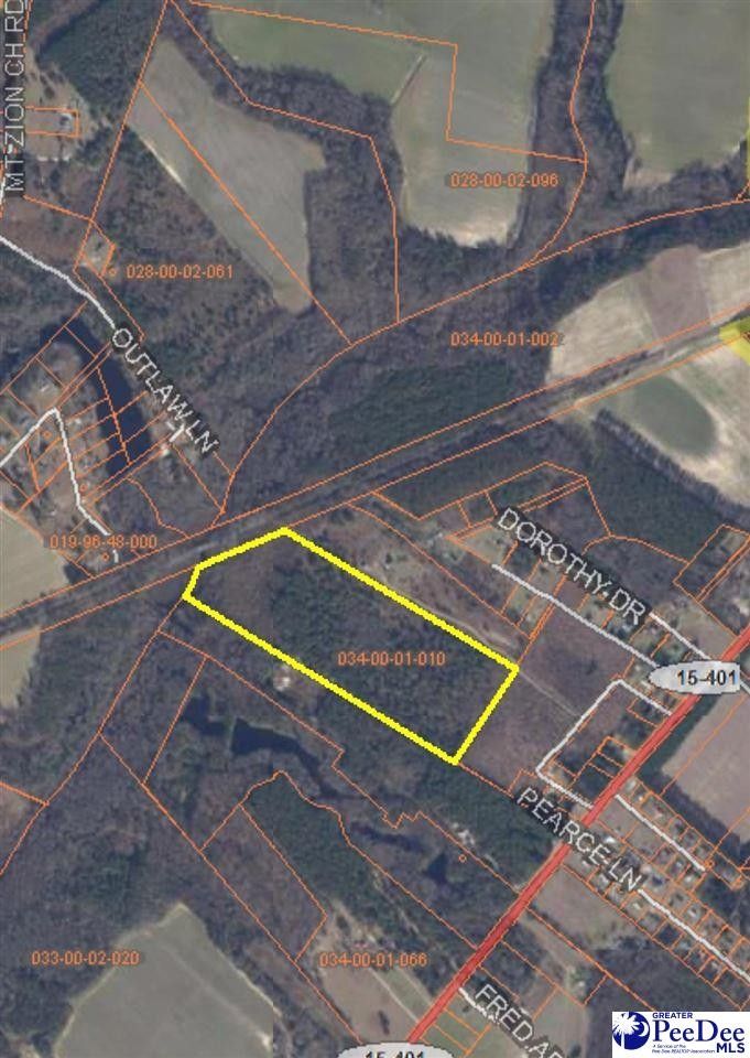 43.93 Acres, TBD Sandspur Circle, SC 29512 Land and Farm