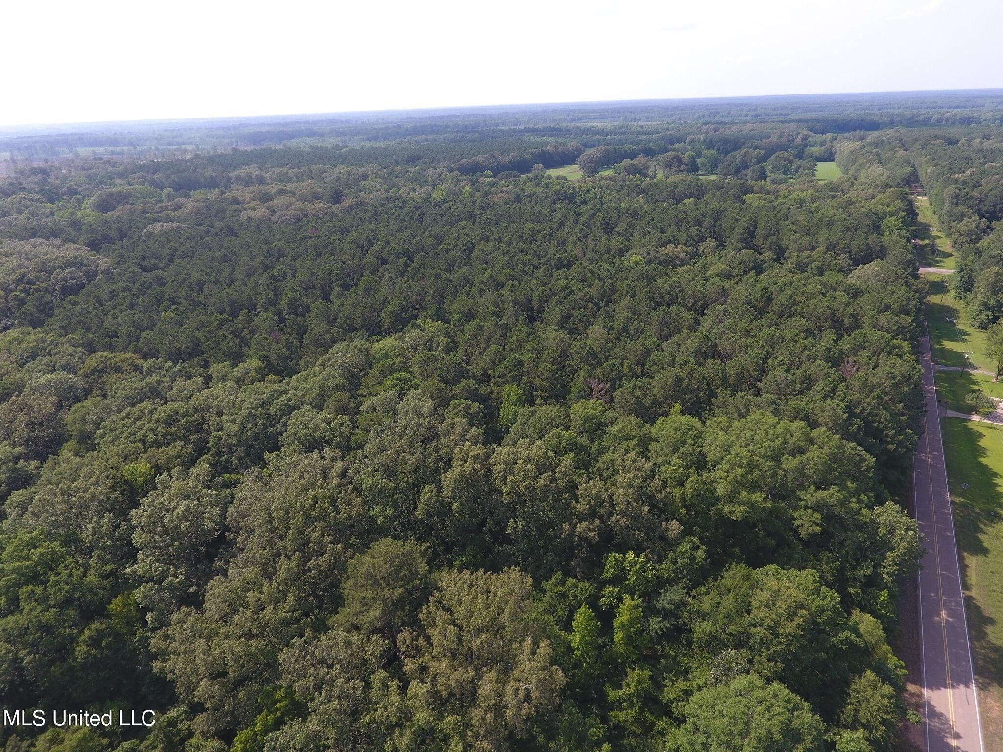 13.87 Acres, 8662 Hwy 25, Lena, MS 39094 Land and Farm