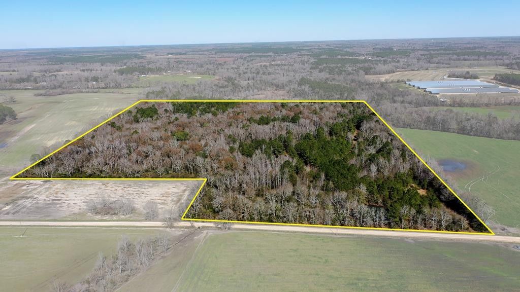 46 Acres, 46 acres Post Oak, AL 36375 Land and Farm