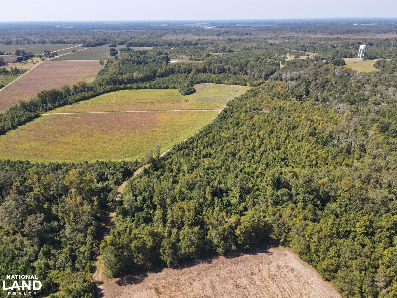 62.04 Acres, 0 Lee State Park Road, Lamar, SC 29069 Land and Farm