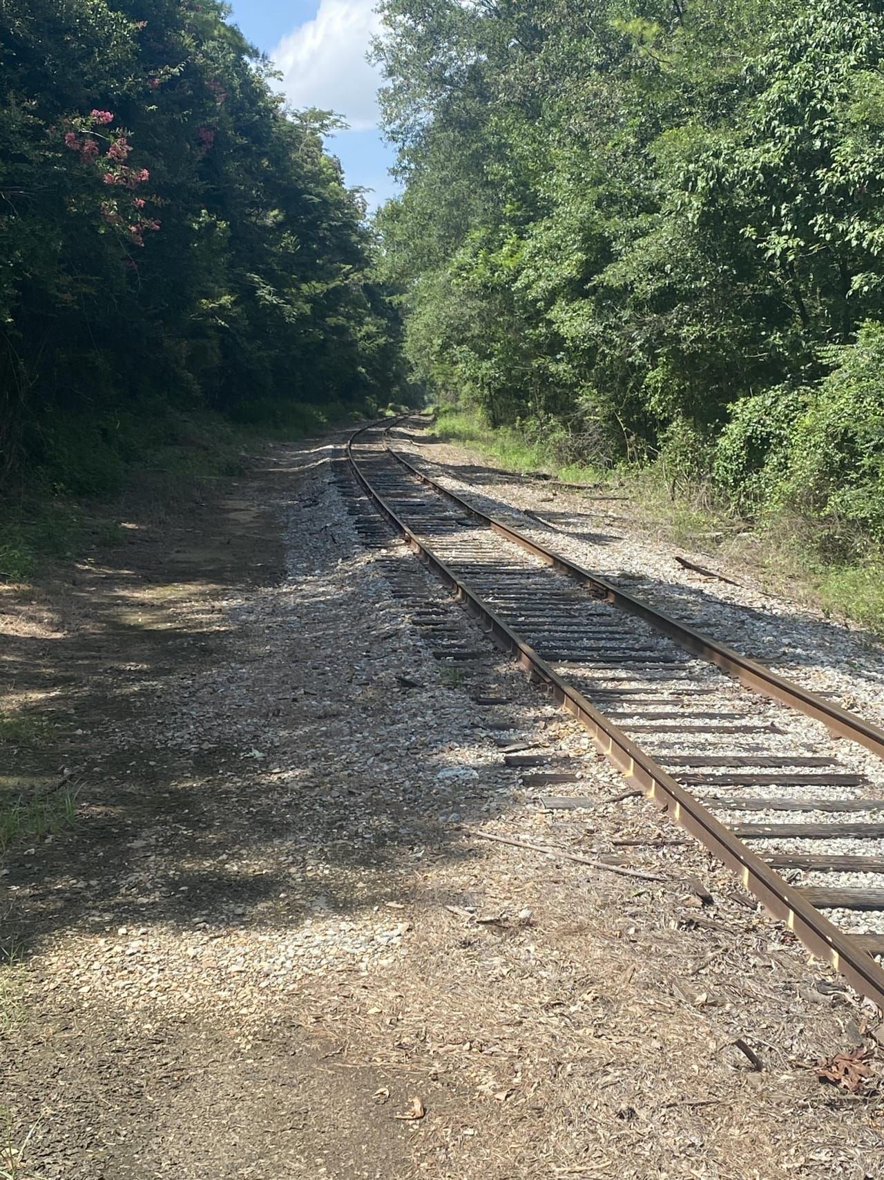 61 Acres, 593 COLLINSTON RD., Collinston, LA 71229 Land and Farm