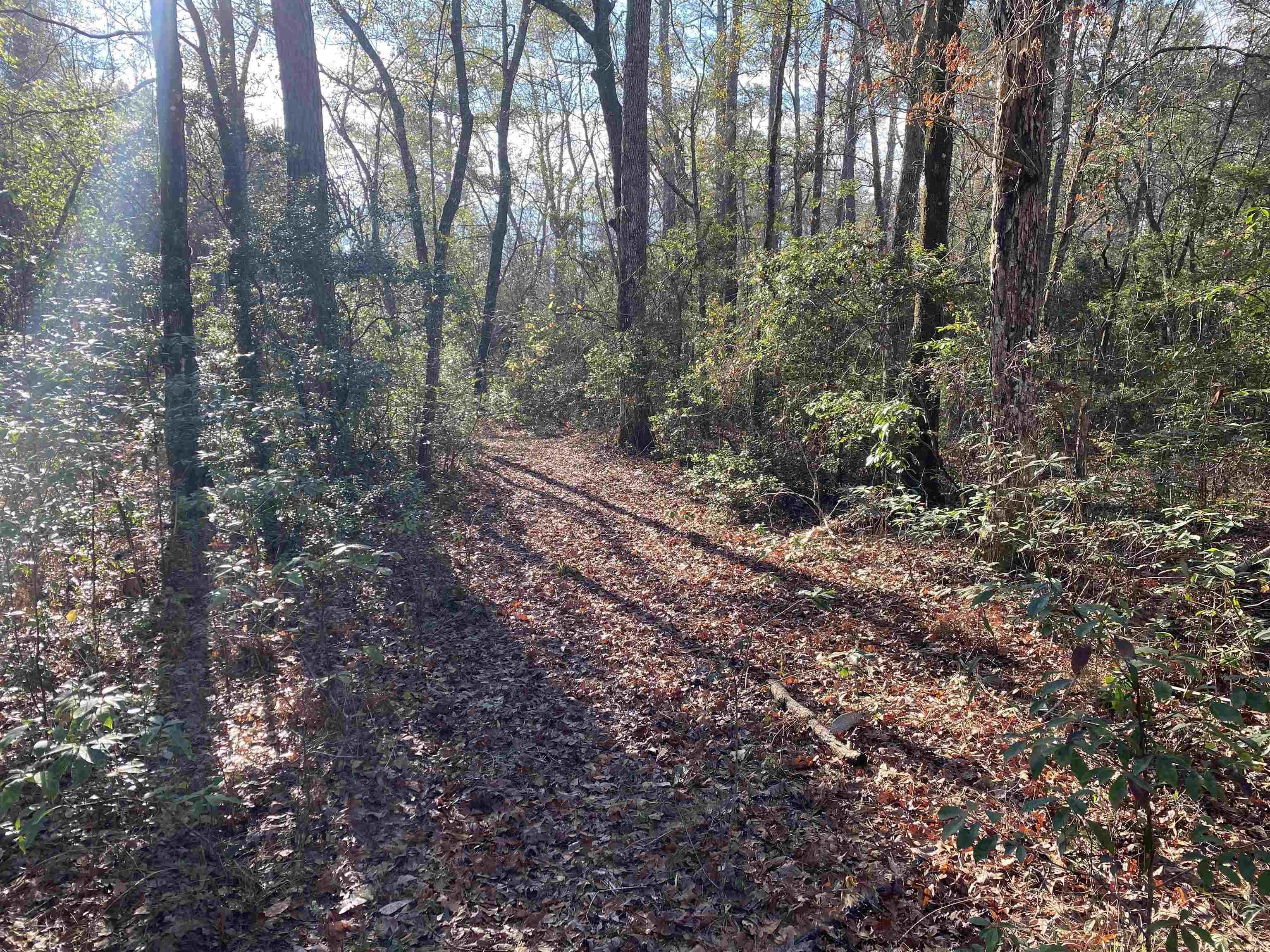 15 Acres, TBD N Ashville Highlands Drive, Greenville, FL 32331 Land